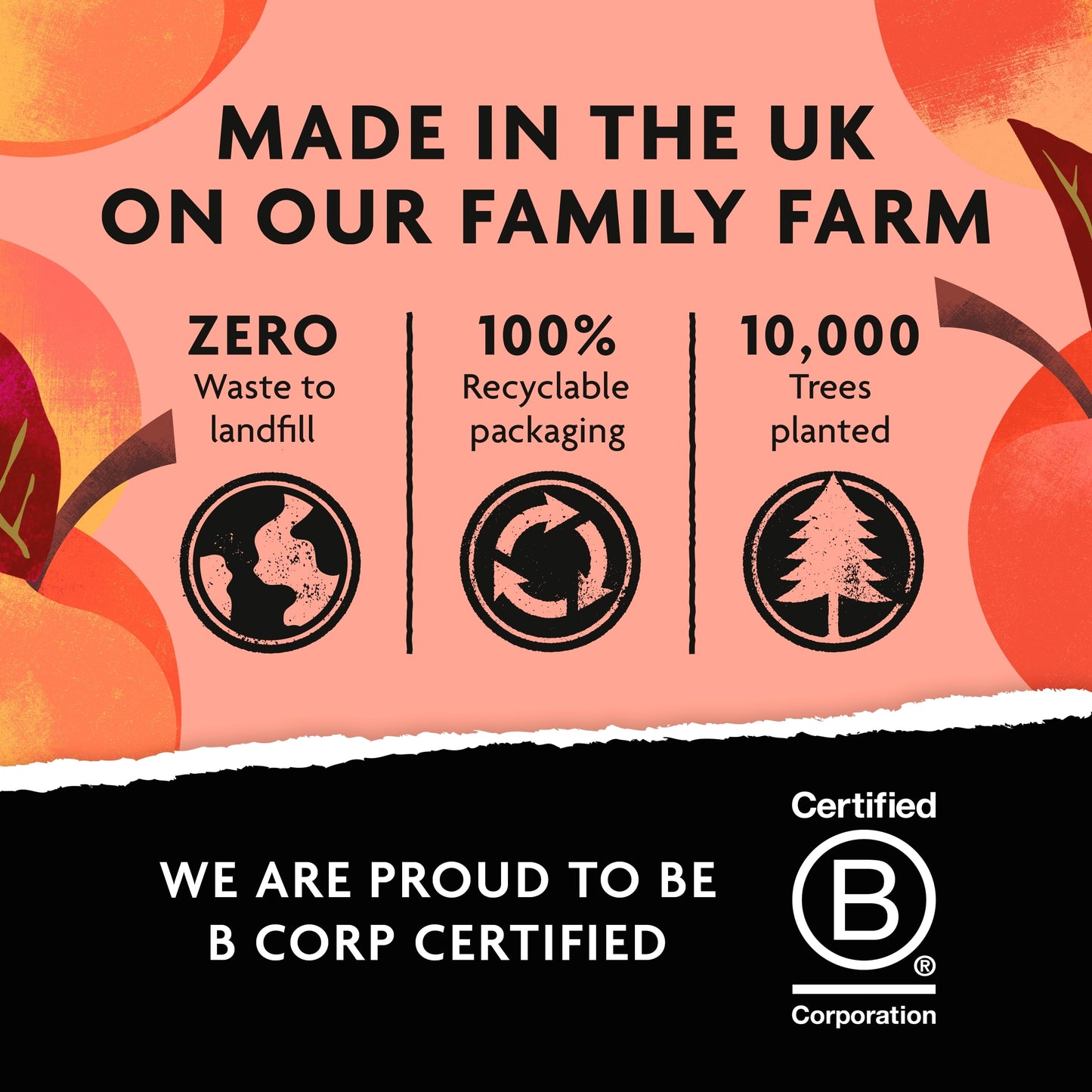 Belvoir Farm Non-Alcoholic Peach Bellini 250ml — image 5