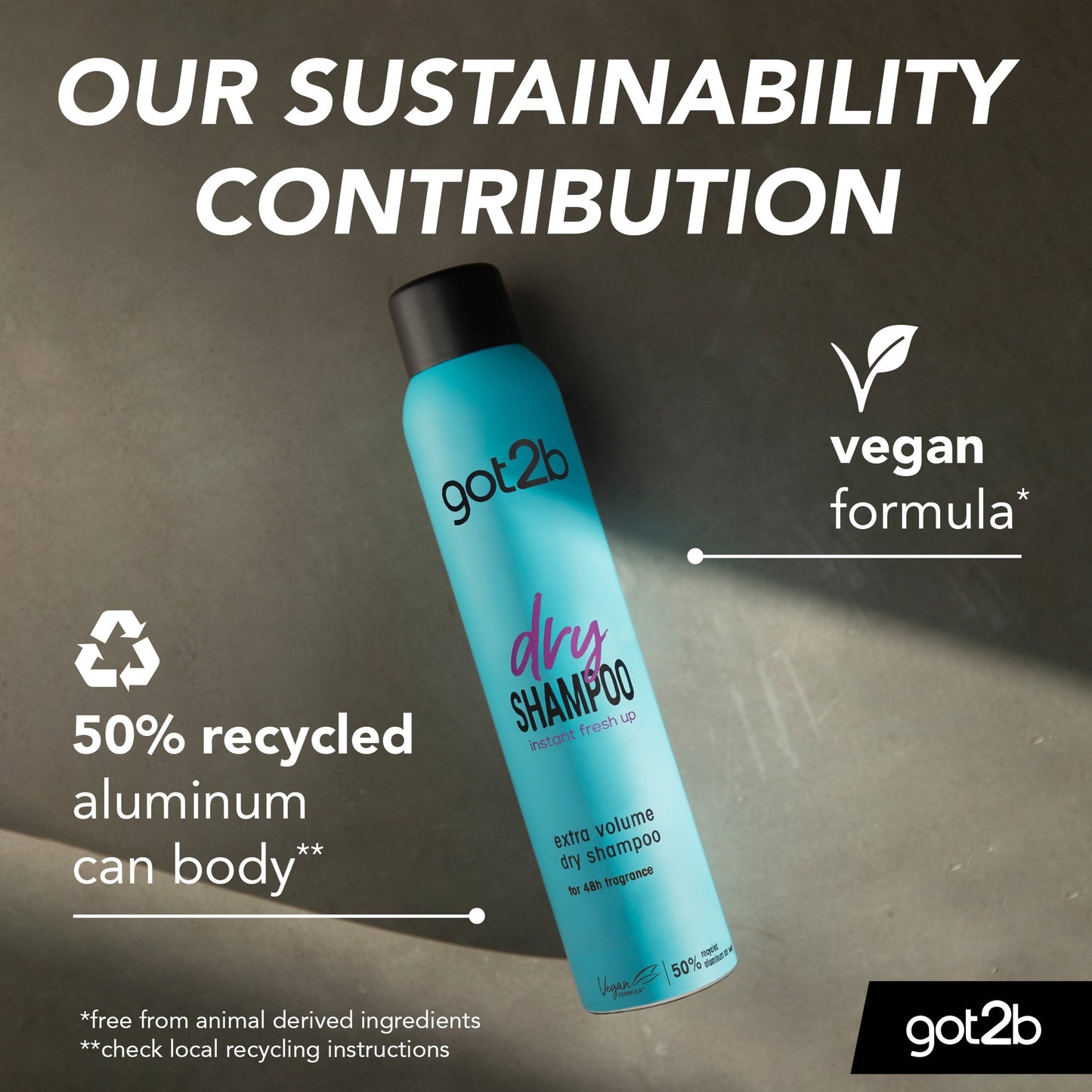 Got2b Fresh It Up Volume Dry Shampoo 200Ml — image 5