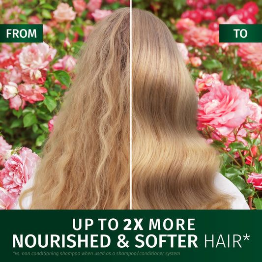 Herbal Essences Petal Soft Rose Scent Leave In Conditioner 145ml — image 2