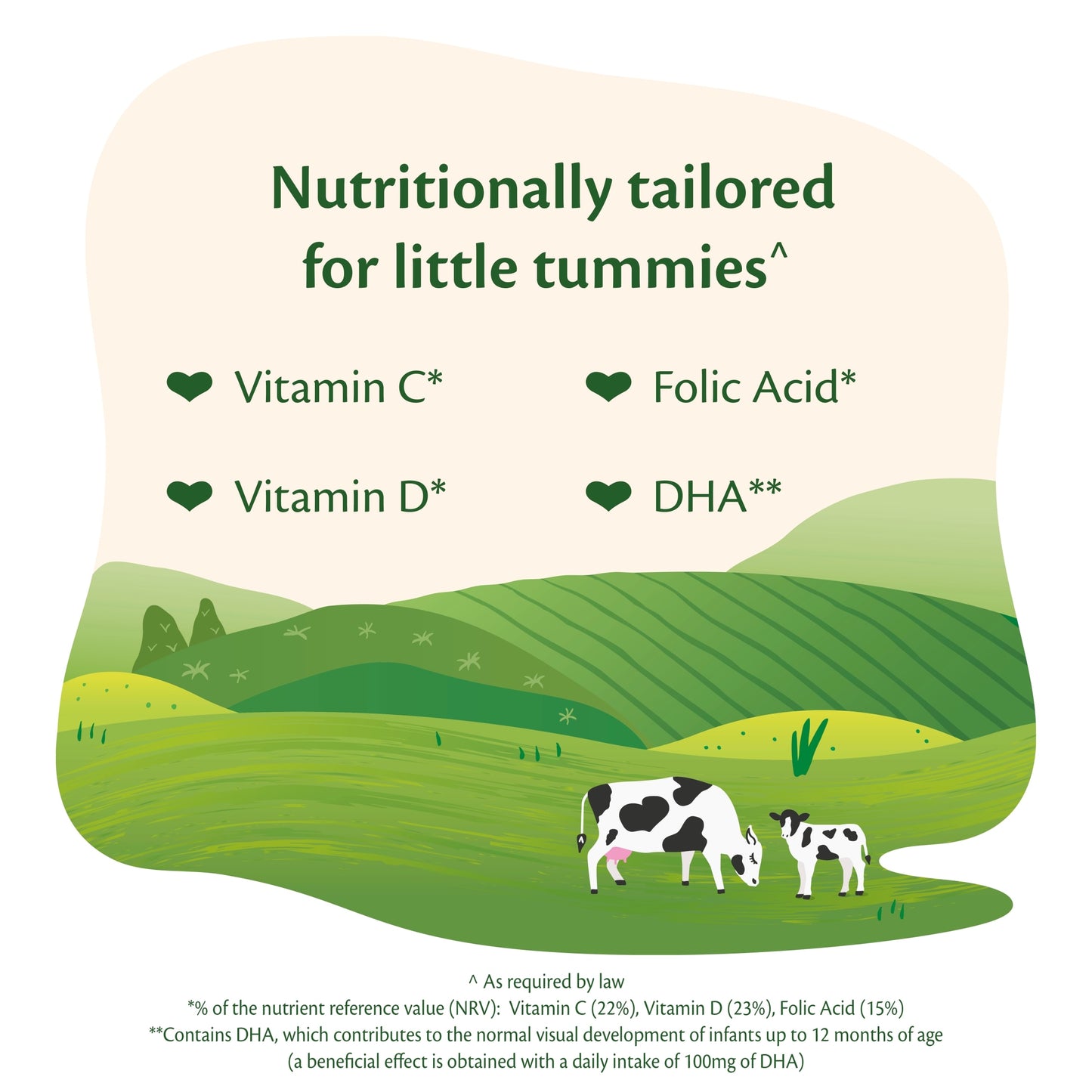 HiPP Organic 2 Follow on Baby Milk Powder Formula, From 6 Months, 800g — image 5