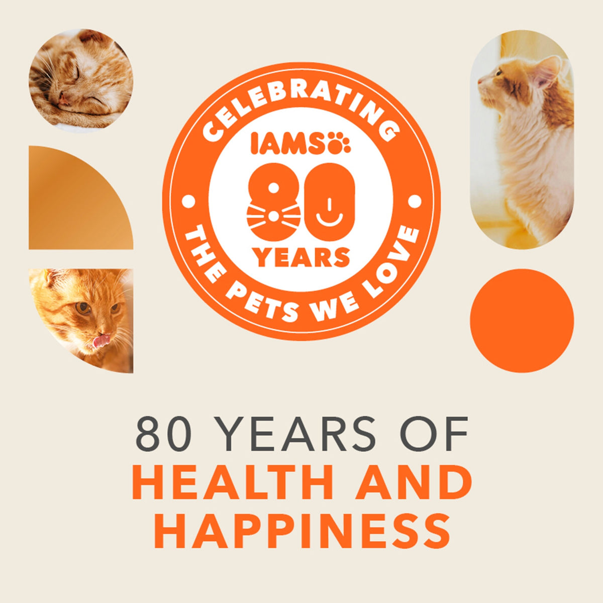Iams Cat Food Adult Chicken 3Kg — image 2