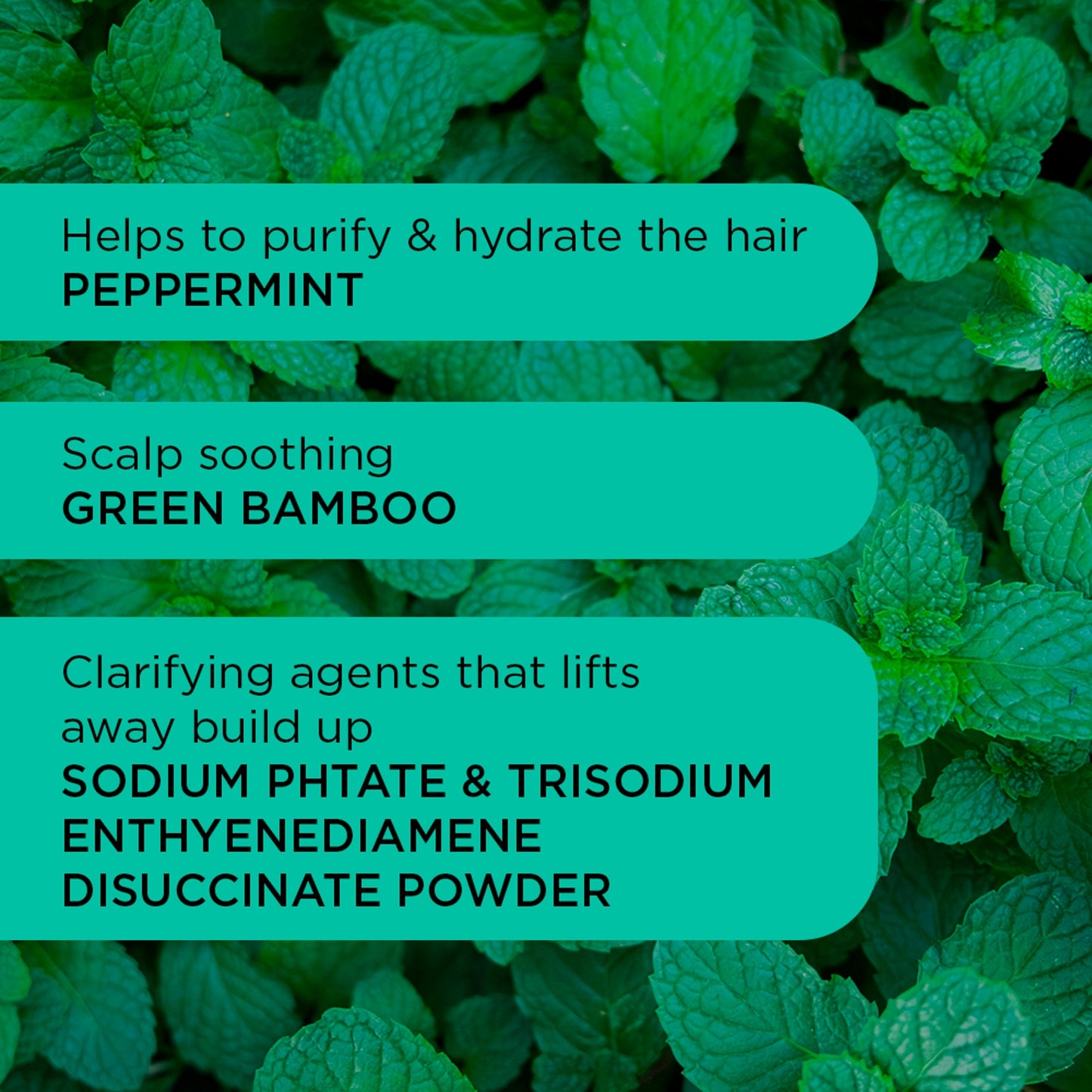 Noughty Detox Dynamo Clarifying Shampoo 250ml — image 3