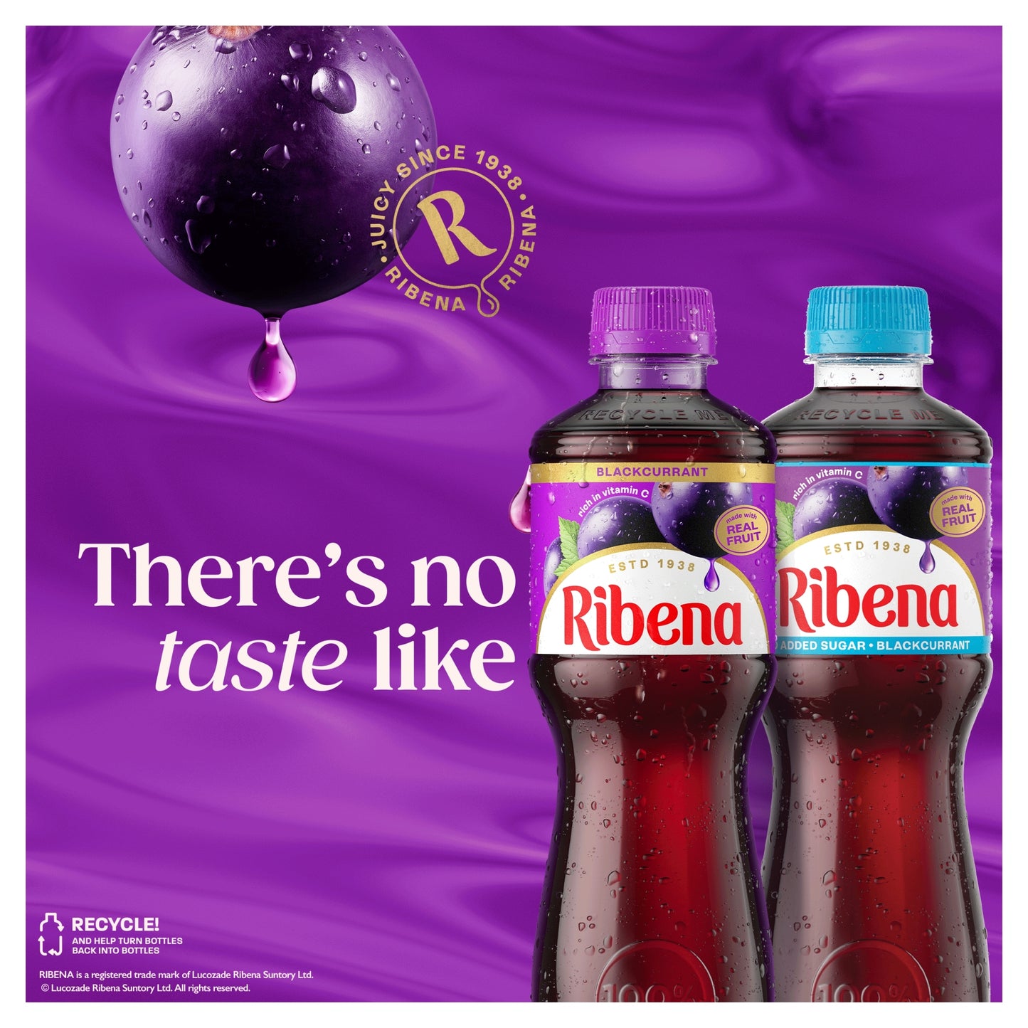 Ribena Blackcurrant Juice Drink No Added Sugar 500ml — image 3