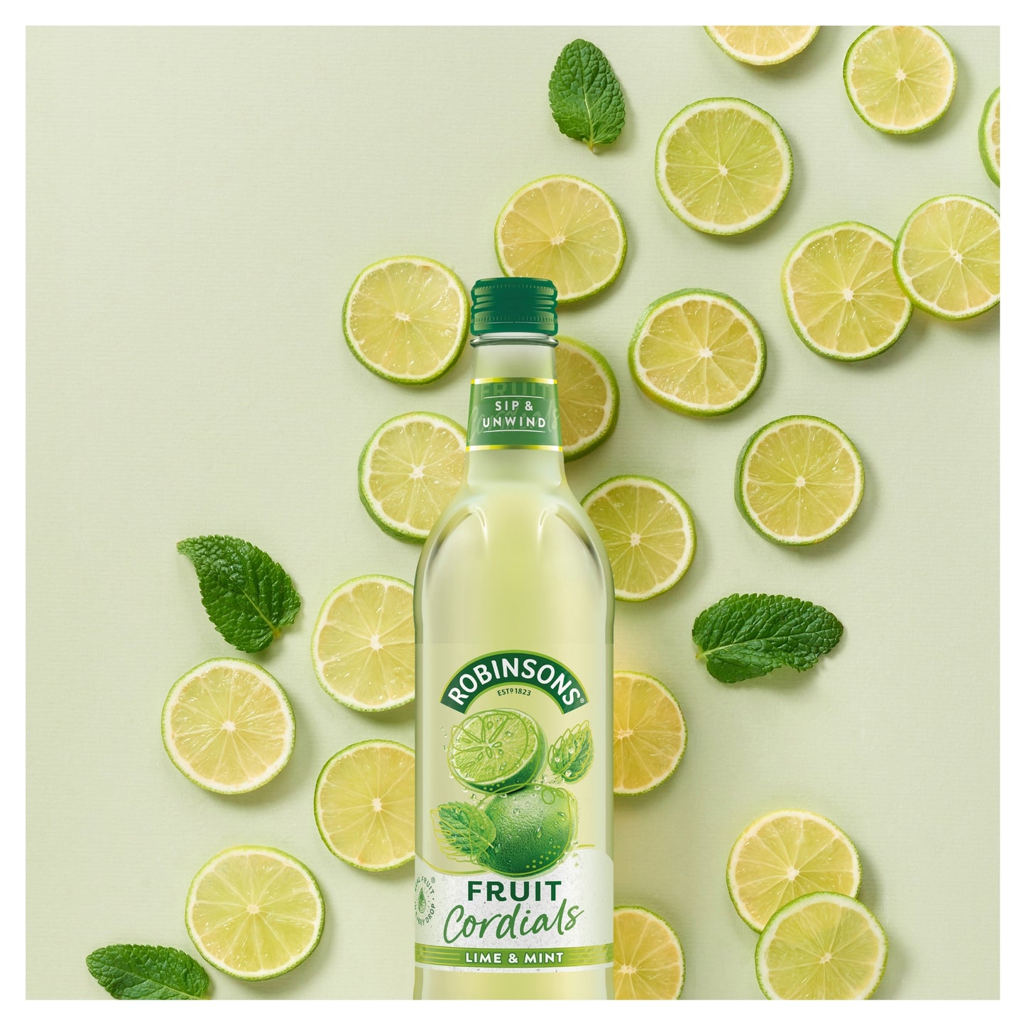 Robinsons Crushed Lime & Mint Fruit Cordial 500ml — image 2