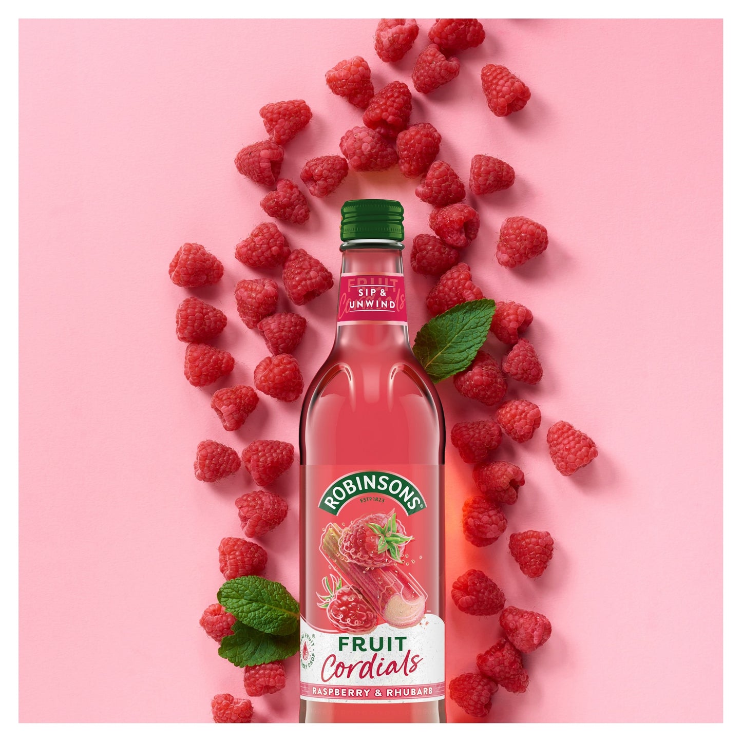 Robinsons Raspberry, Rhubarb & Orange Blossom Fruit Cordial 500ml — image 2