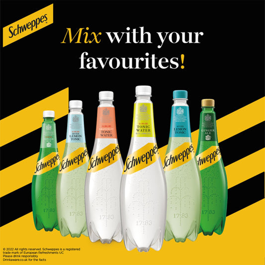 Schweppes Canada Dry Ginger Ale 1L — image 2