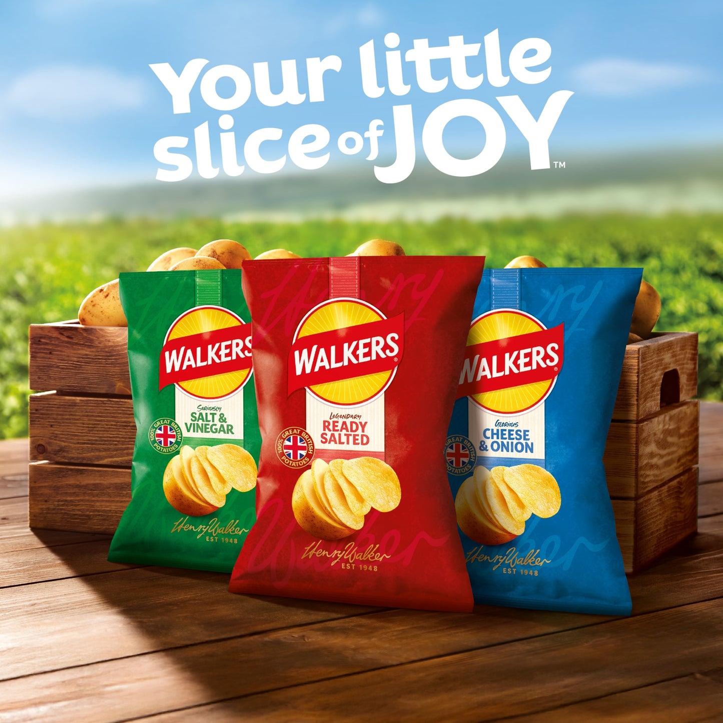 WALKERS Cheese & Onion Grab Bag Crisps 45g pack shot