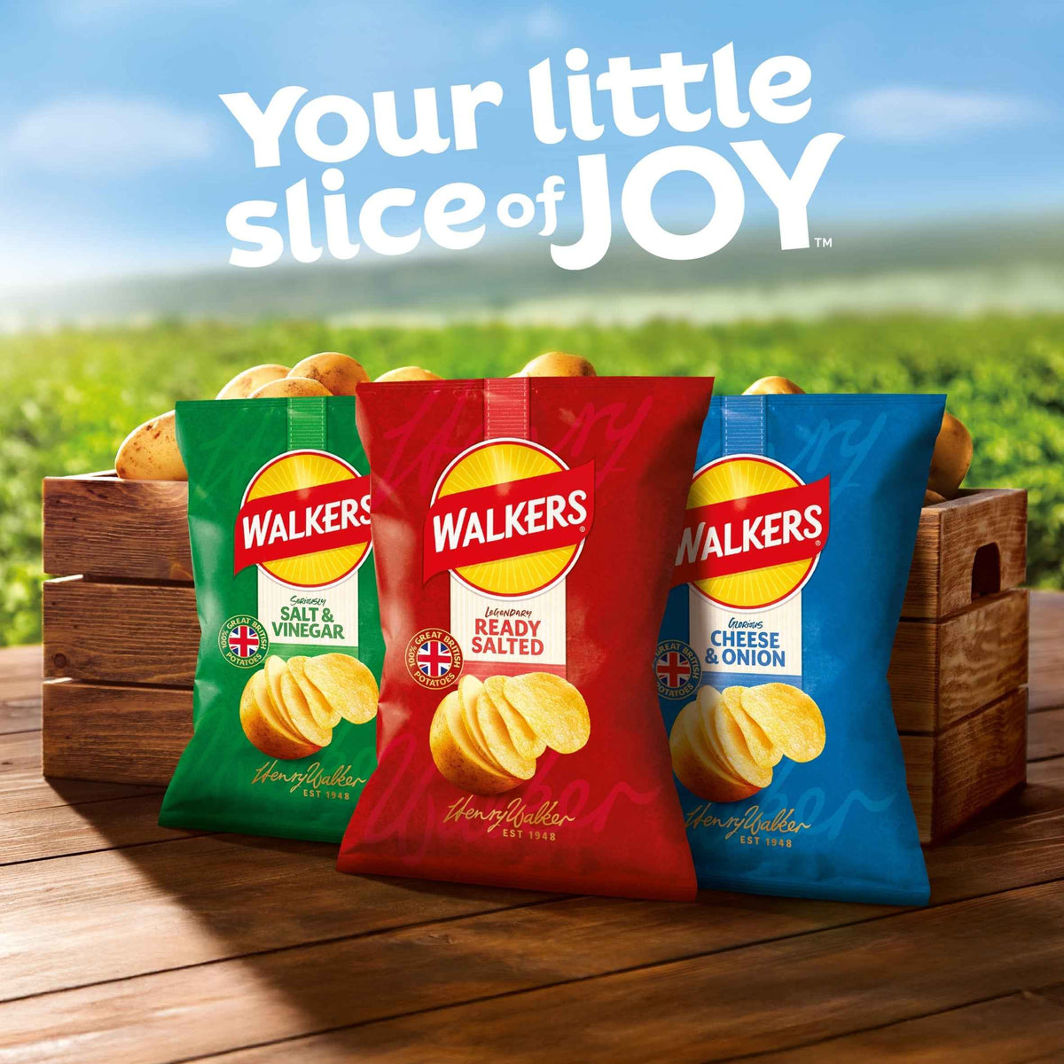 WALKERS Ready Salted Grab Bag Crisps 45g pack shot