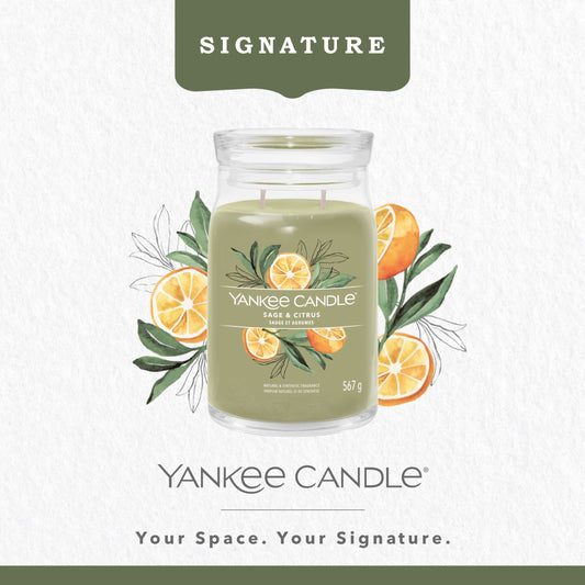 Yankee Candle Signature Large Jar Sage & Citrus 567g — image 2