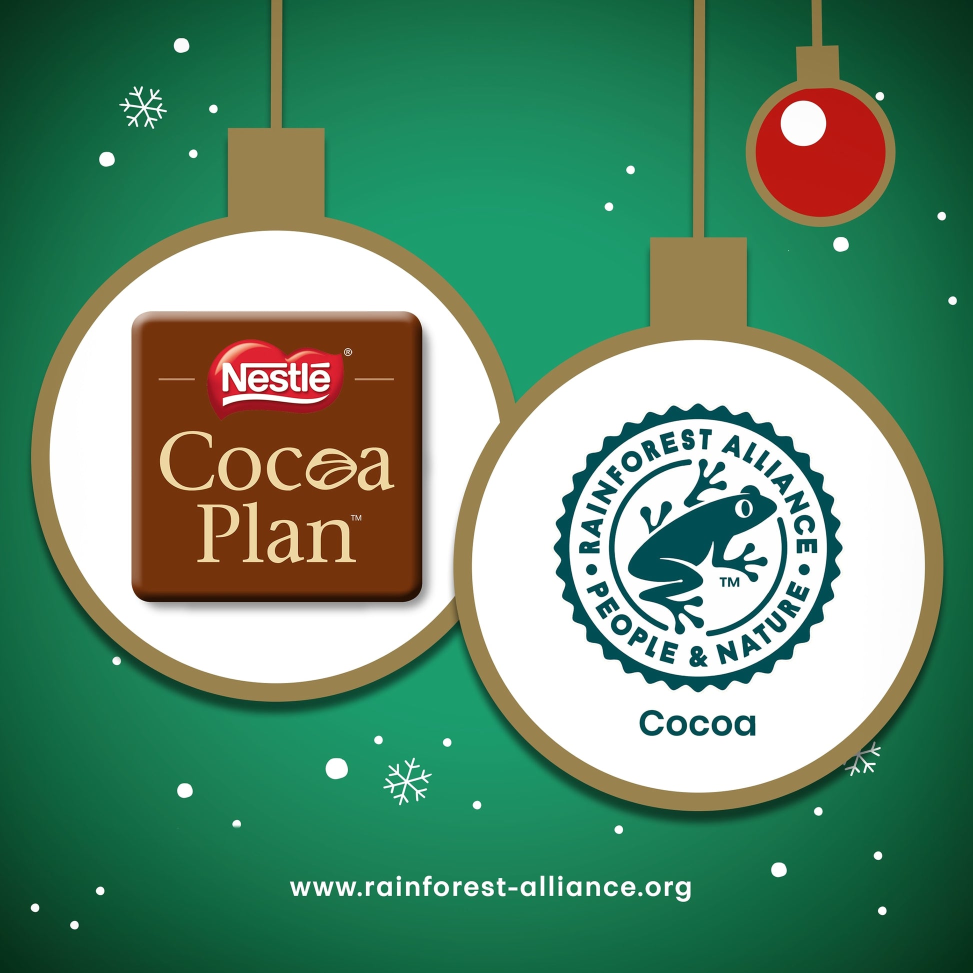 After Eight Dark & Milk Peppermint Chocolate Box 199g — image 2