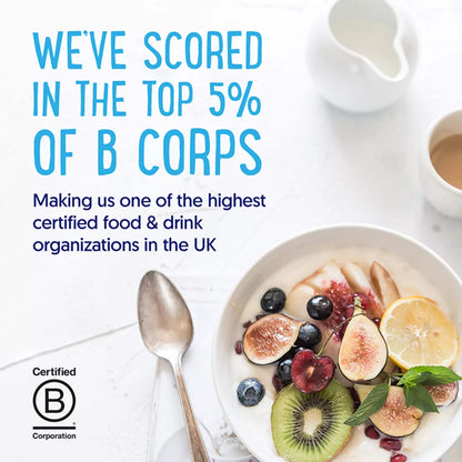 Alpro Vanilla Dairy Free Soya Custard 525g — image 3