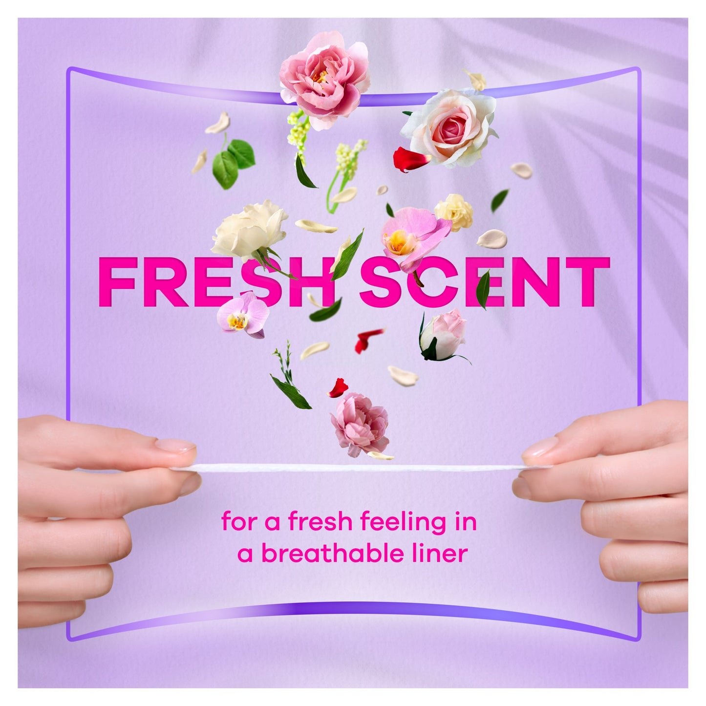 Always Dailies Slim Multiform Fresh Panty Liners 26 — image 3