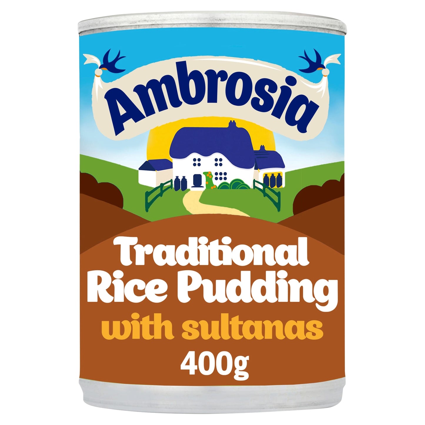 Ambrosia Creamed Rice Sultanas & Nutmeg 400G Tin — image 1