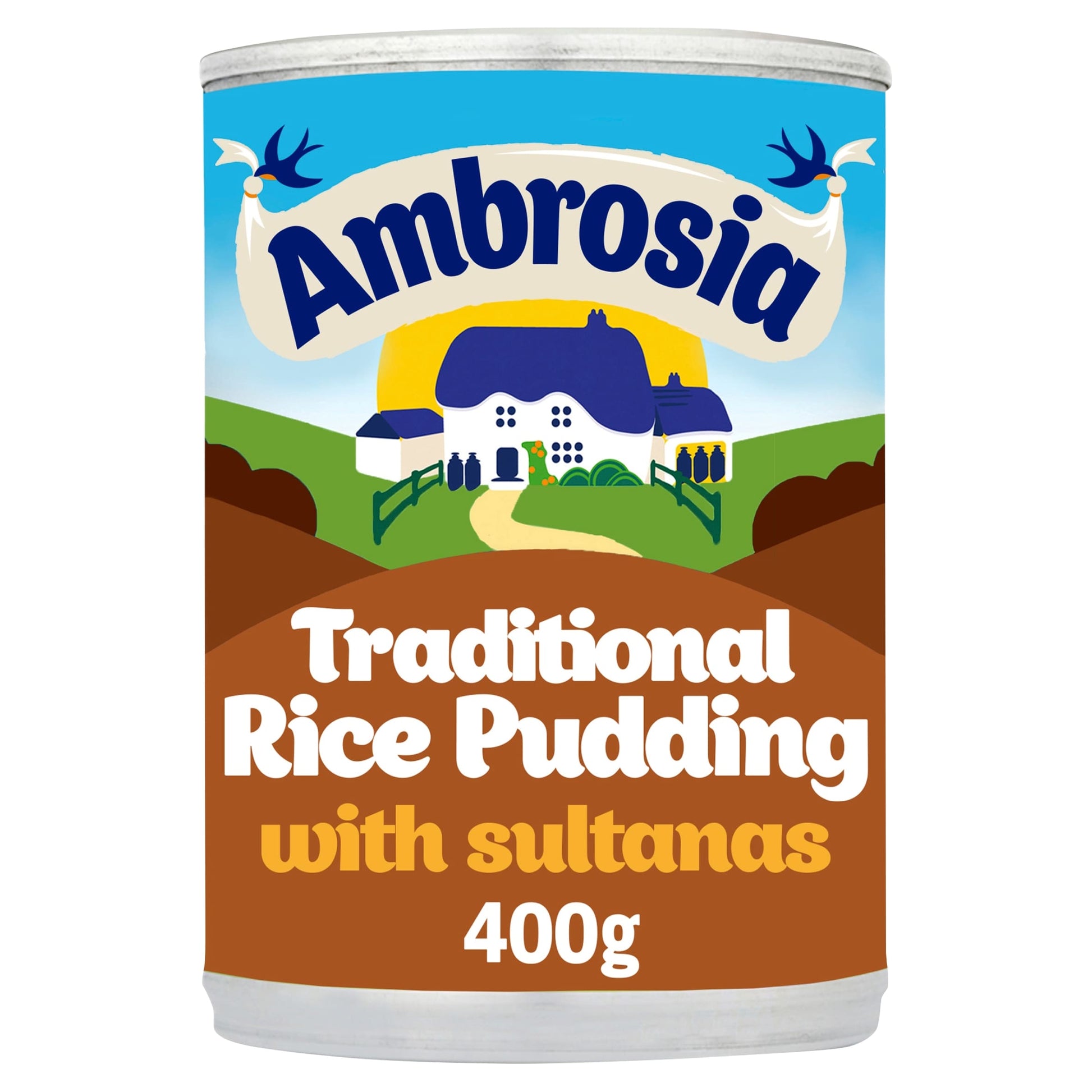 Ambrosia Creamed Rice Sultanas & Nutmeg 400G Tin — image 1