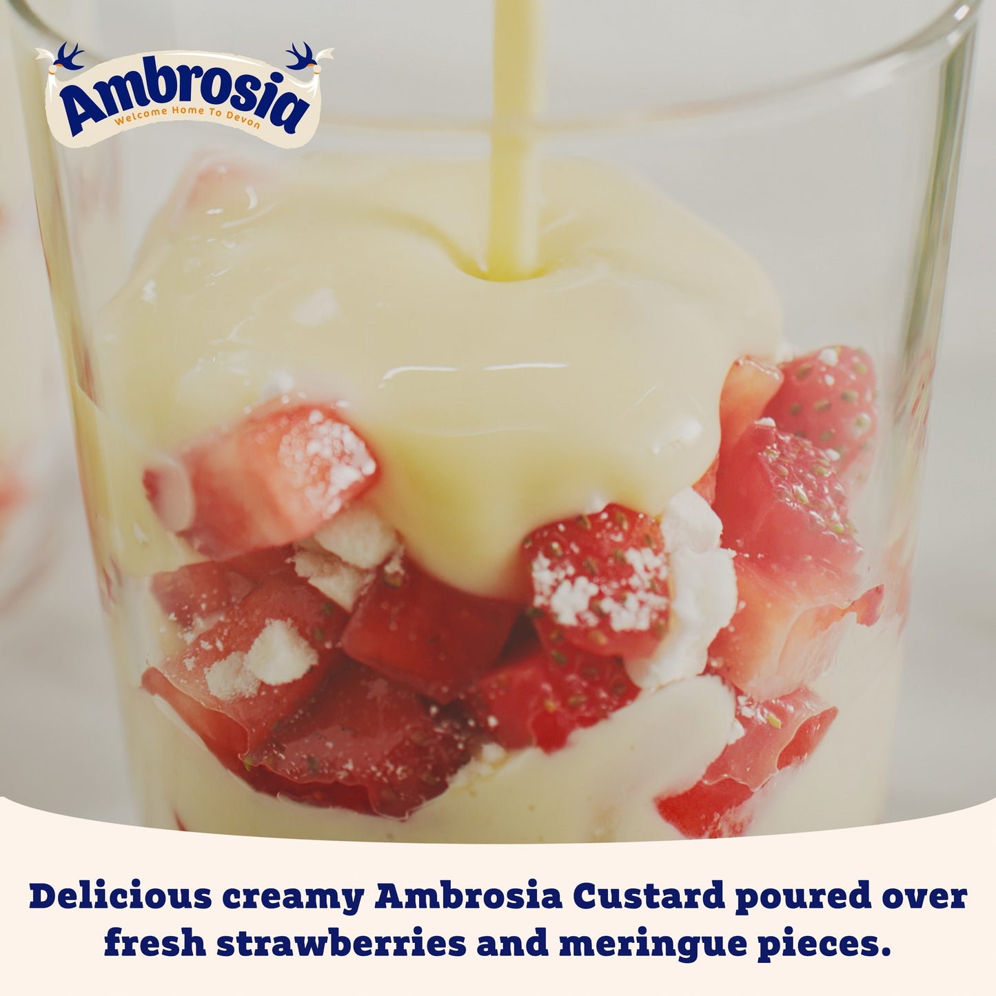 Ambrosia Devon Custard 500G — image 3
