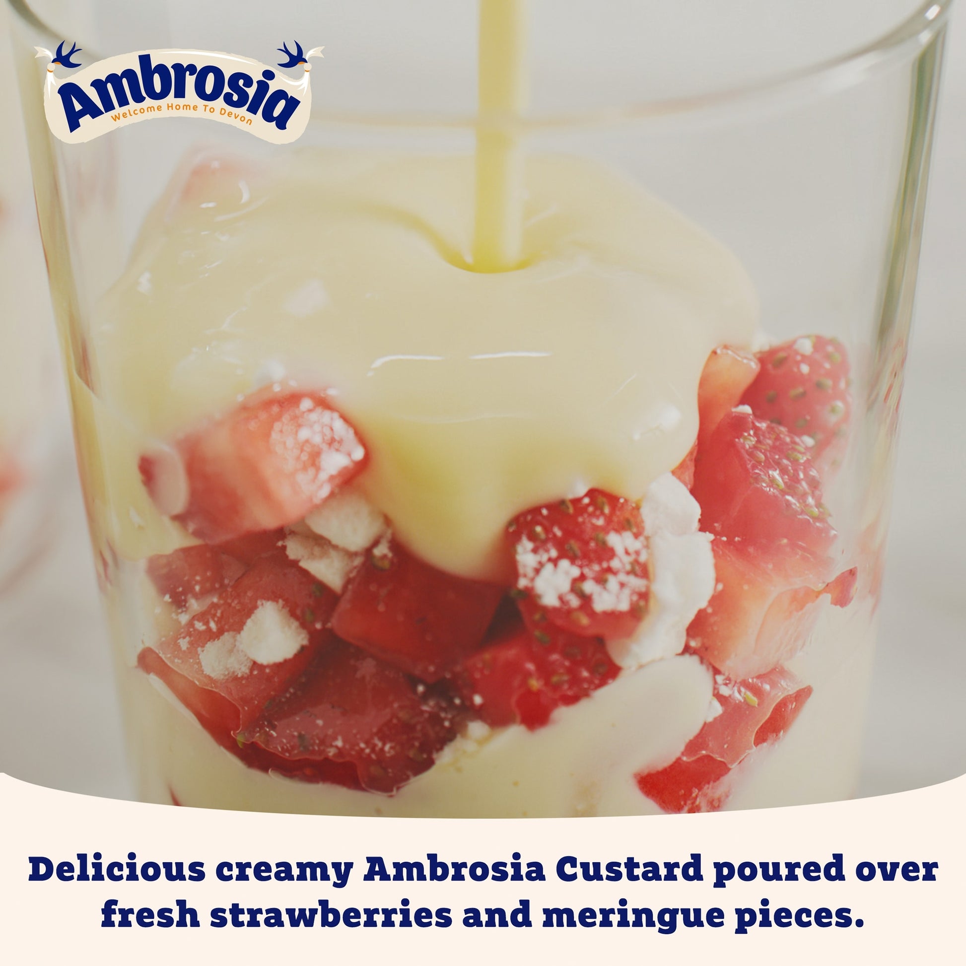 Ambrosia Devon Custard 500G — image 3