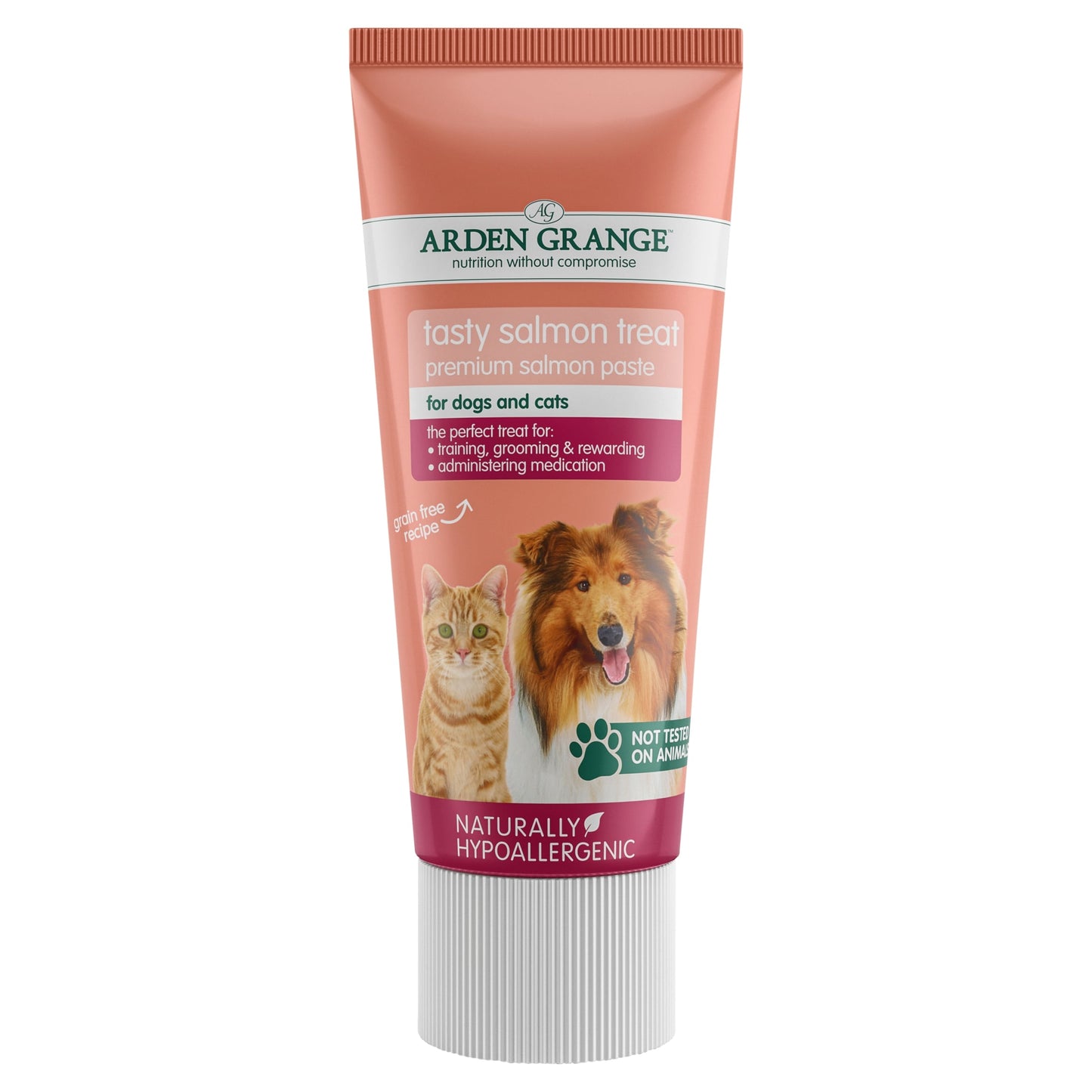 Arden Grange Tasty Salmon Dog Treat 75g — image 1