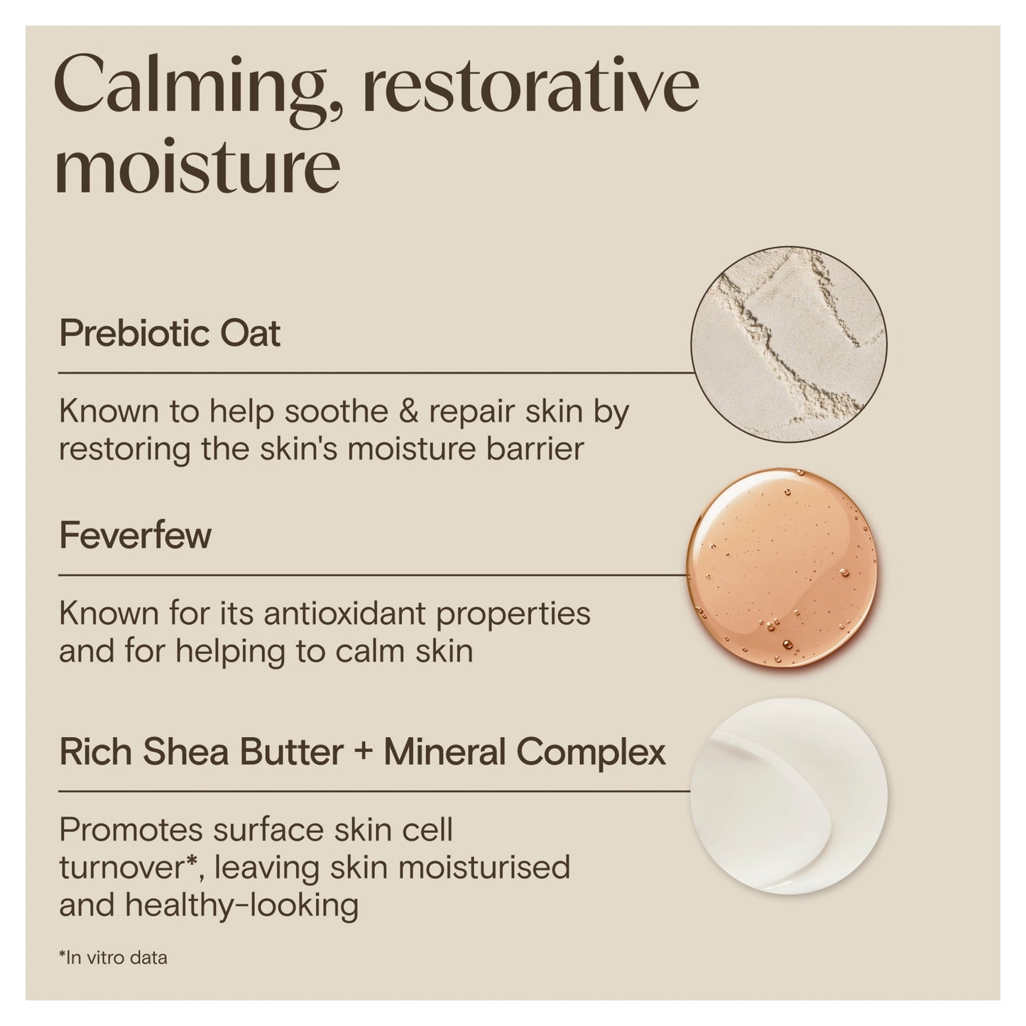 Aveeno Face CALM & RESTORE Night Face Cream Moisturiser 50ml — image 4