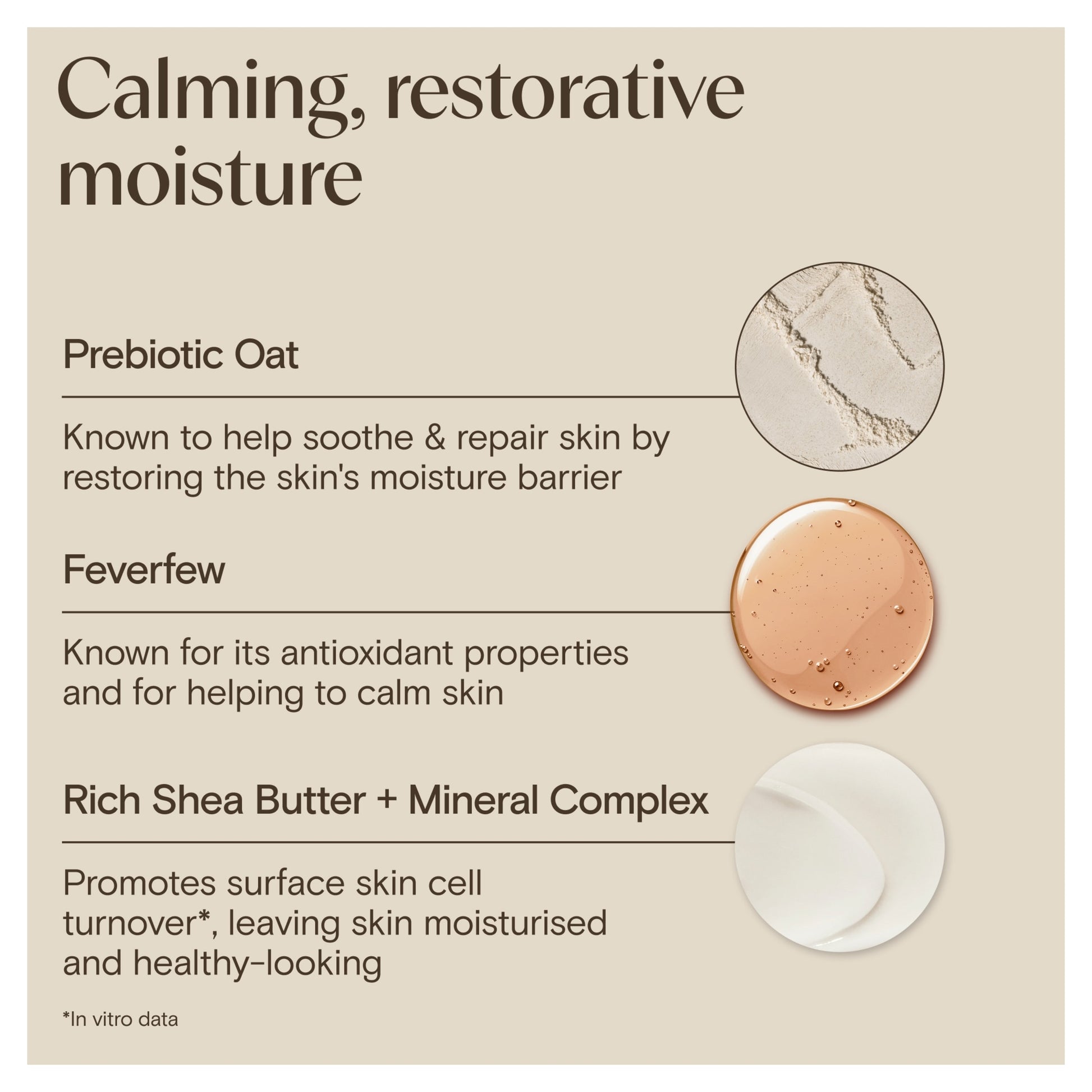 Aveeno Face CALM & RESTORE Night Face Cream Moisturiser 50ml — image 4