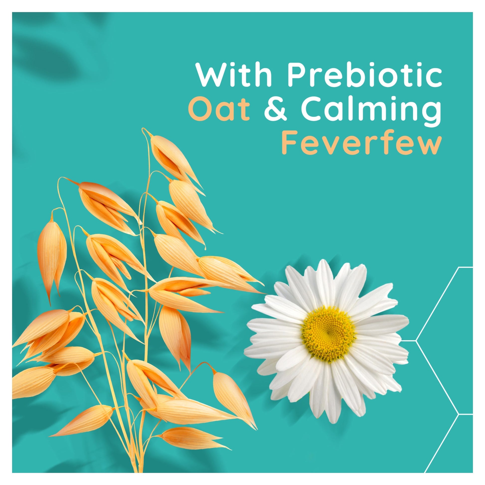 Aveeno Face CALM & RESTORE Oat Serum Face Moisturiser Cream 30ml — image 4