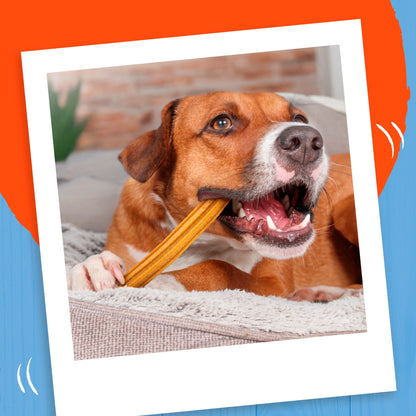BAKERS Dental Delicious Medium Chicken Dog Chews 200g — image 4