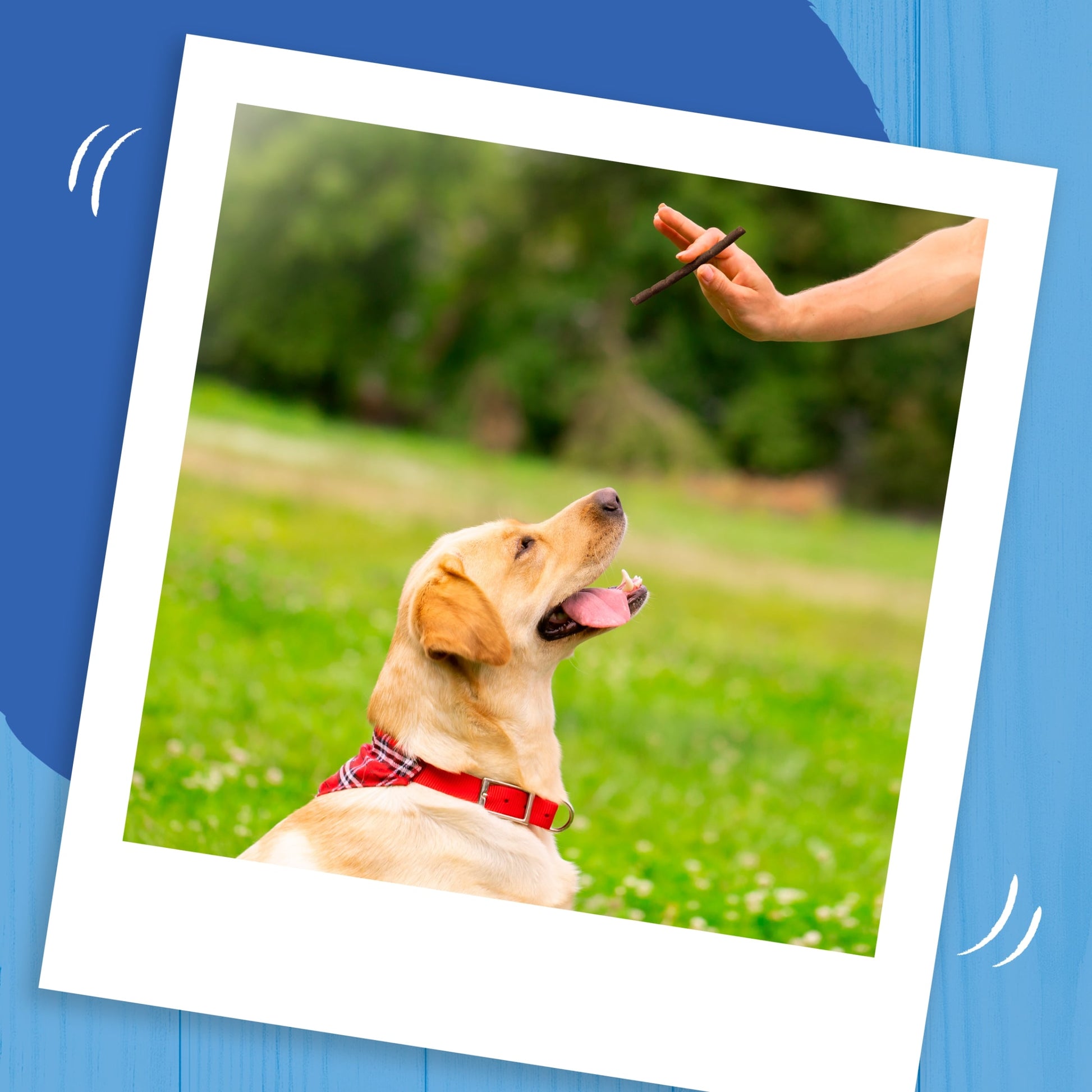 BAKERS Rewards Chicken; Beef and Lamb Dog Treats 100g — image 4