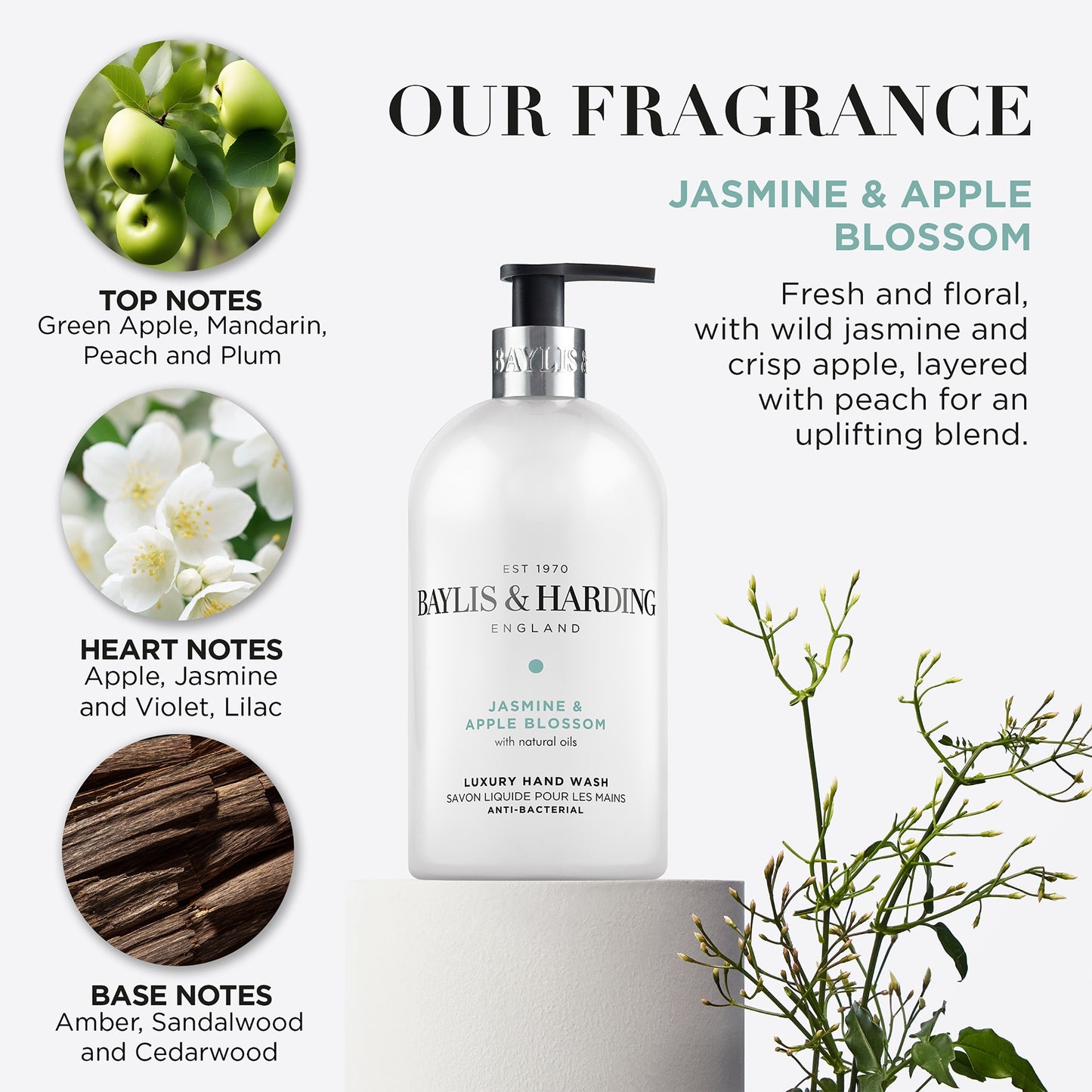 Baylis & Harding Antibacterial Jasmine Hand Wash 500Ml — image 2