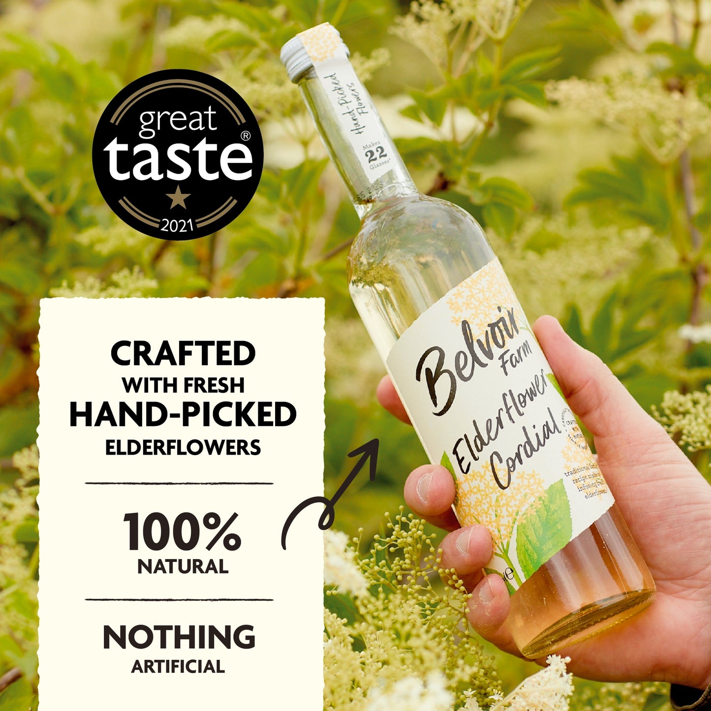 Belvoir Elderflower Cordial 500Ml — image 4