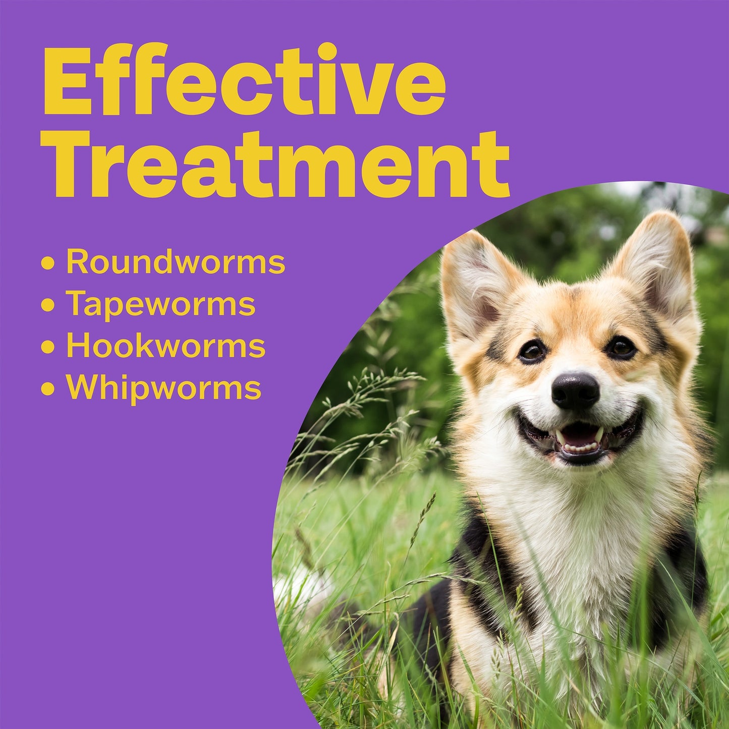 Bob Martin Clear 3 In 1 Wormer Dog 2 Tablets Pack — image 2
