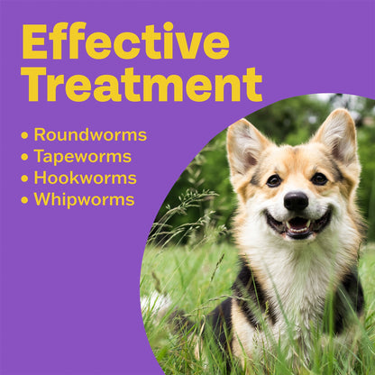 Bob Martin Clear 3 In 1 Wormer Dog 2 Tablets Pack — image 2