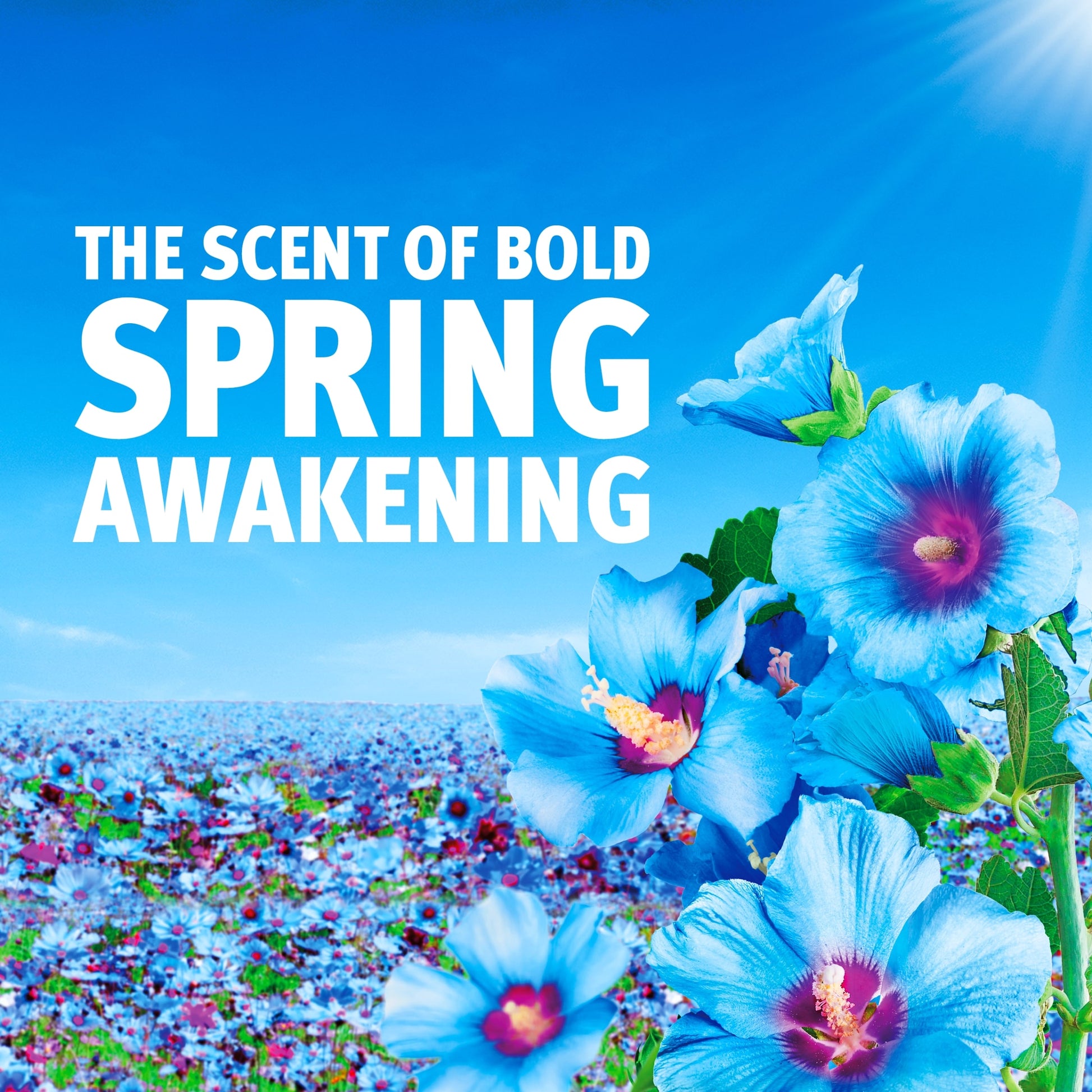 Bold Washing Powder Spring Awakening 72w 3600g — image 2