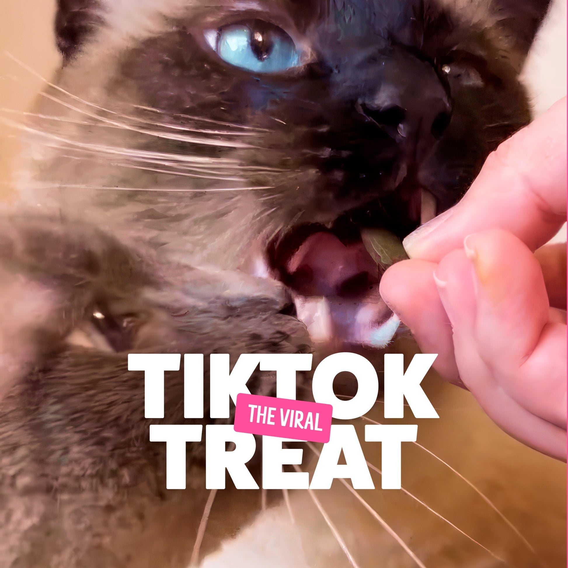 Bonkers Cat Treats - Catnip, Chick 'N' Cheddar Flavour 180g — image 4