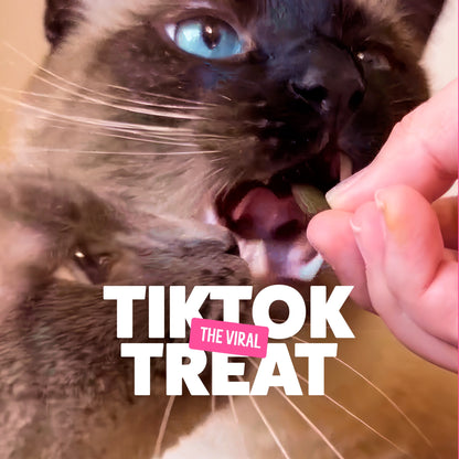 Bonkers Cat Treats - Catnip, Chick 'N' Cheddar Flavour 180g — image 4