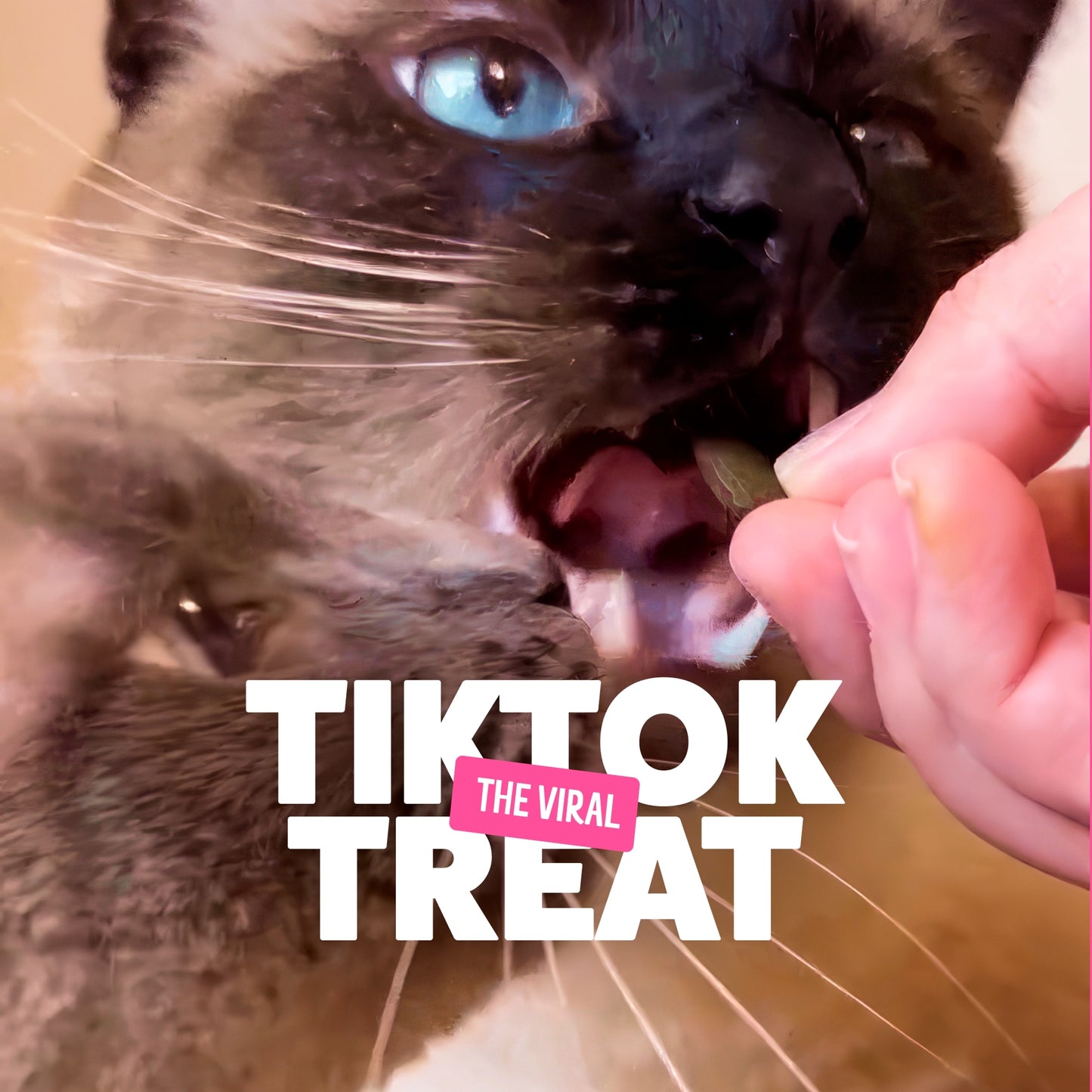 Bonkers Cat Treats - Paw Lickin' Chicken Flavour 60g — image 4
