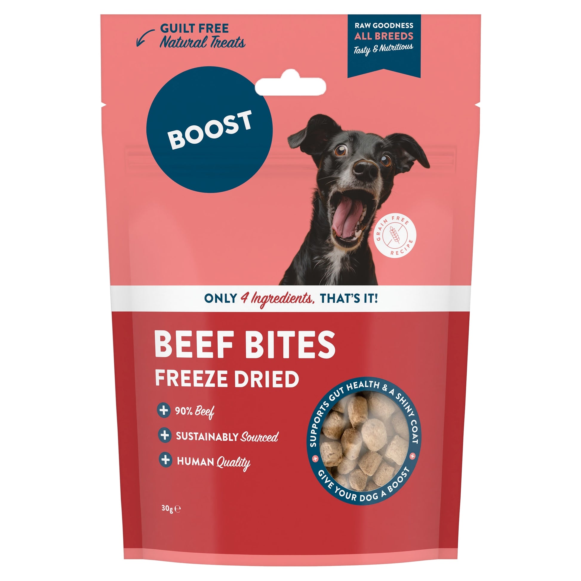 BOOST Natural Treats Beef with Superfoods for Dogs 30g — image 1