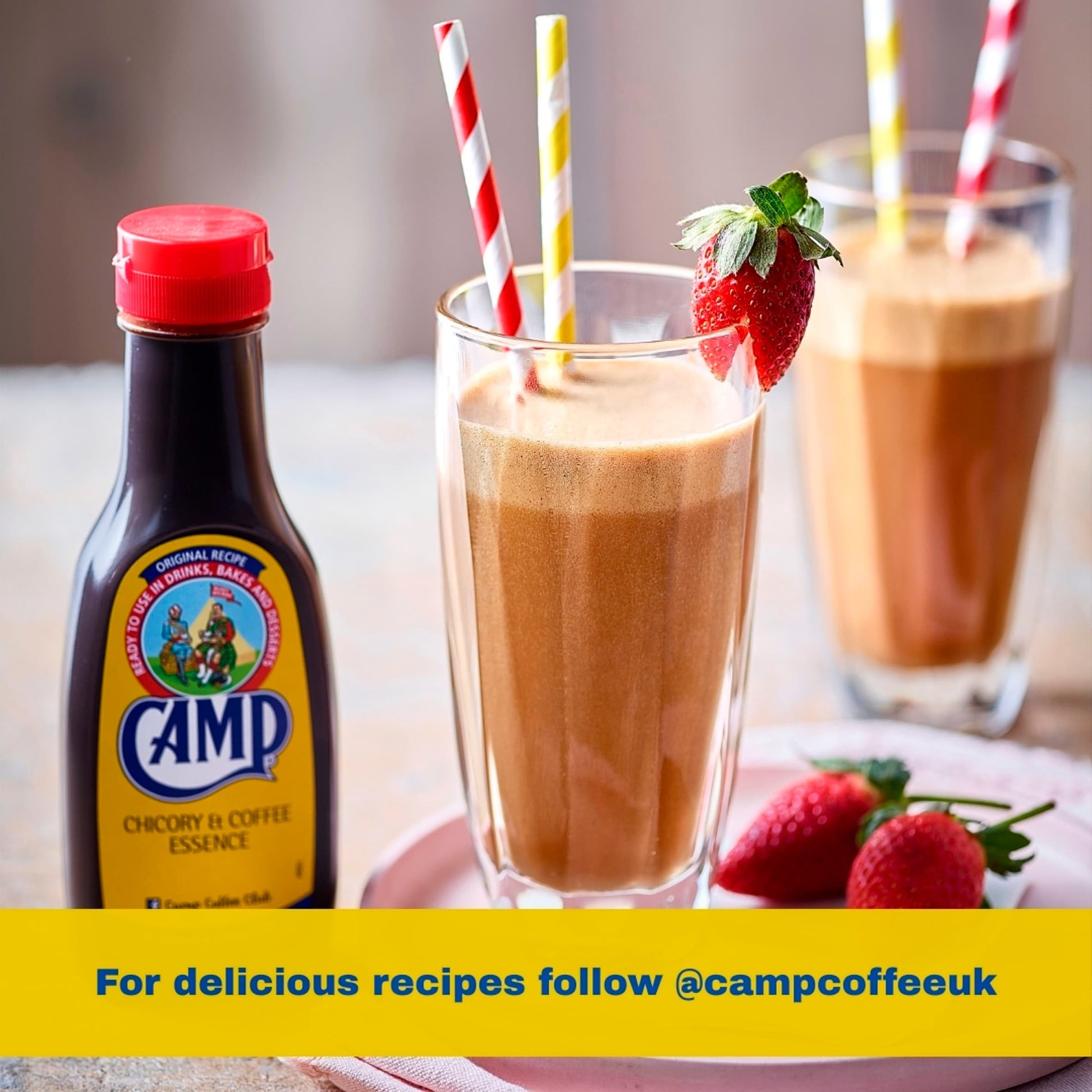 Camp Chicory & Coffee Essence 241ml — image 5