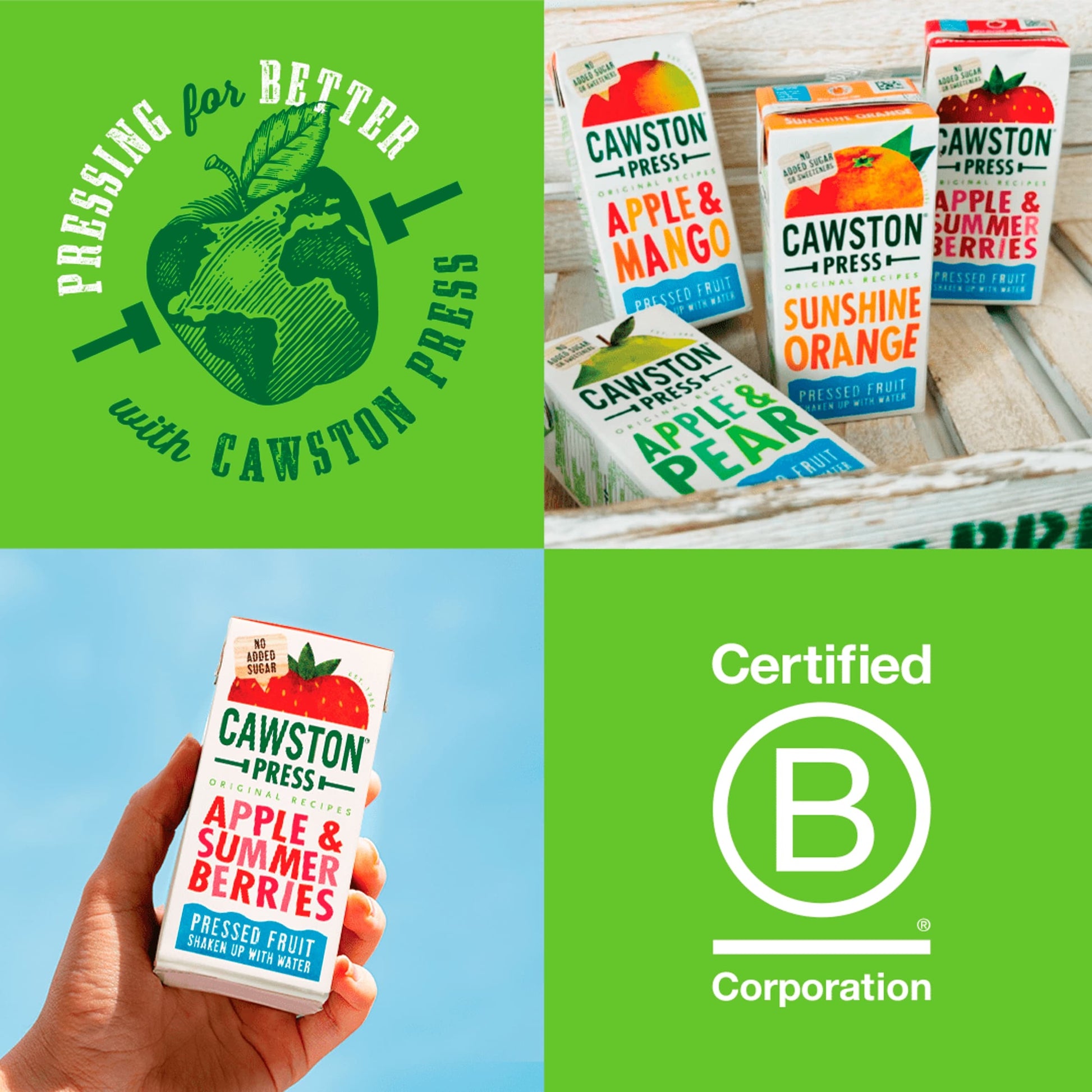 Cawston Press Apple & Summer Berries 3 x 200ml — image 3