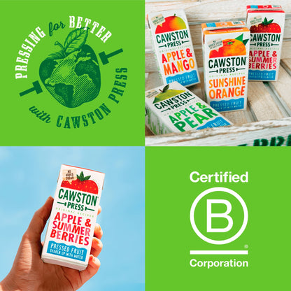 Cawston Press Apple & Summer Berries 3 x 200ml — image 3