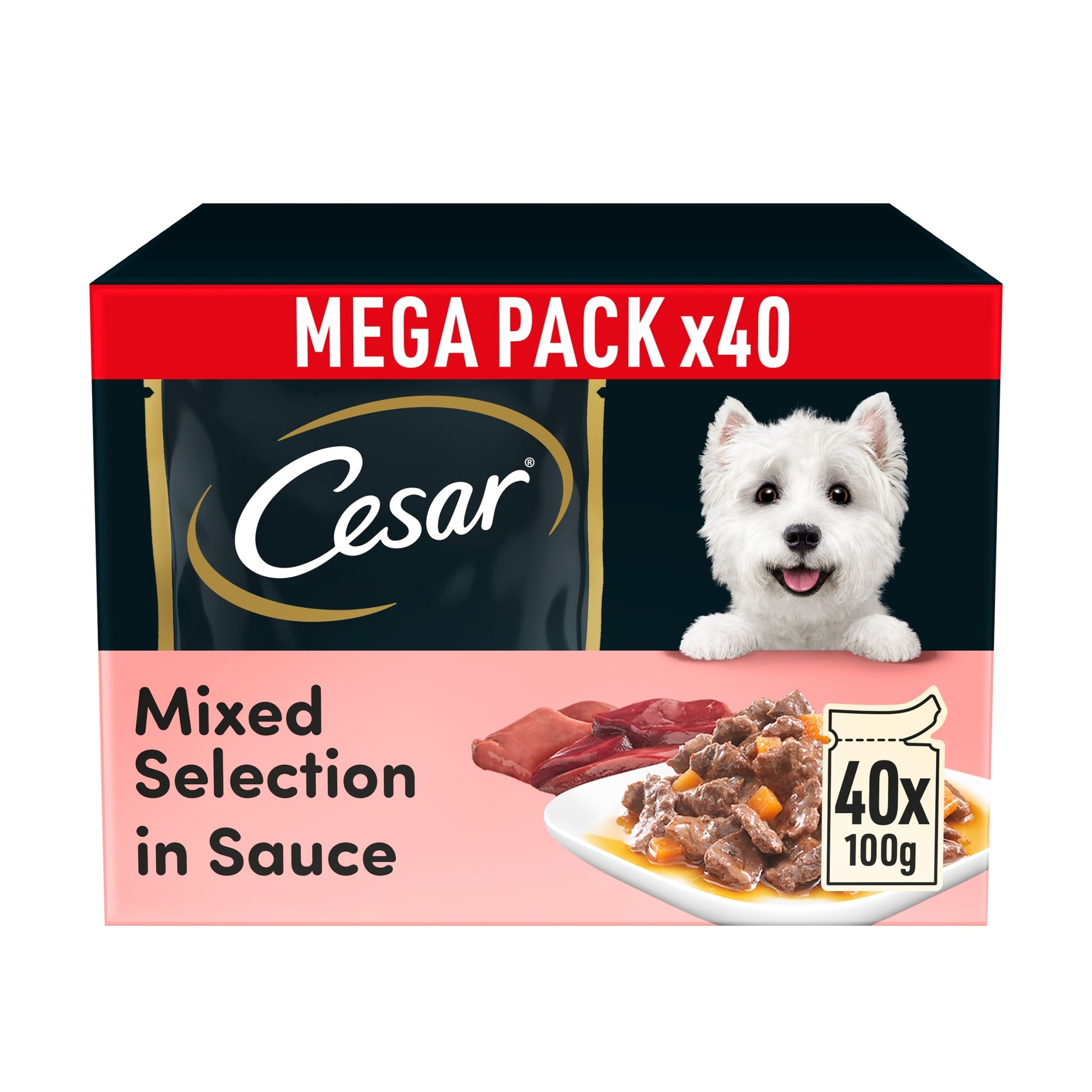 CESAR Adult Wet Dog Food Pouches Sauce Mixed Selection in Gravy 40x100g — image 1