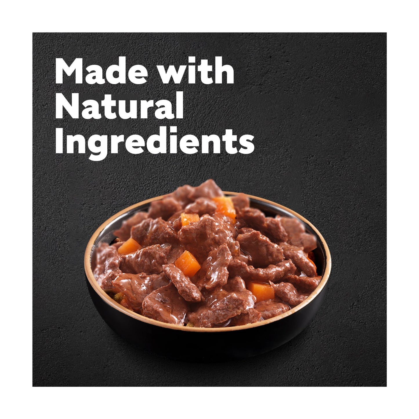 CESAR Adult Wet Dog Food Pouches Sauce Mixed Selection in Gravy 40x100g — image 3