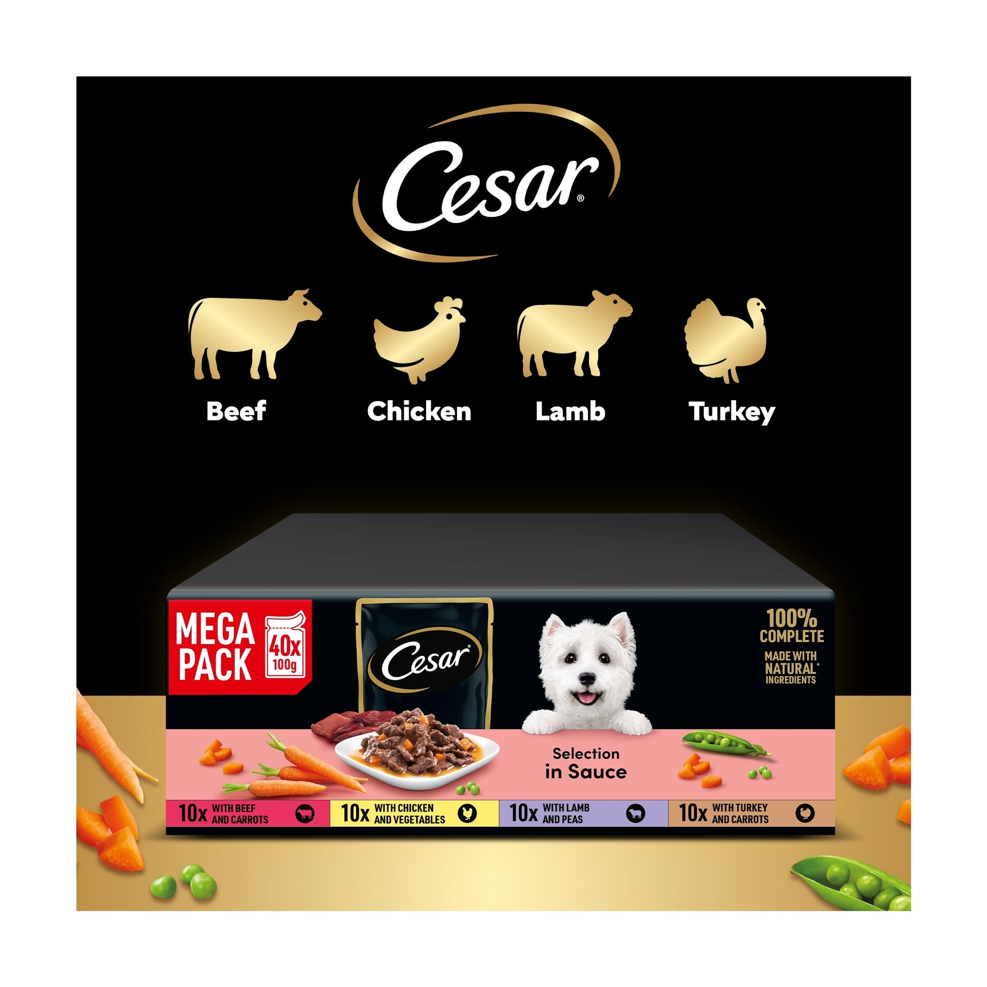 CESAR Adult Wet Dog Food Pouches Sauce Mixed Selection in Gravy 40x100g — image 4