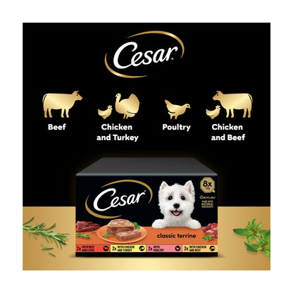 Cesar Classics Terrine Wet Dog Food Trays Mixed in Loaf 8 x 150g — image 3
