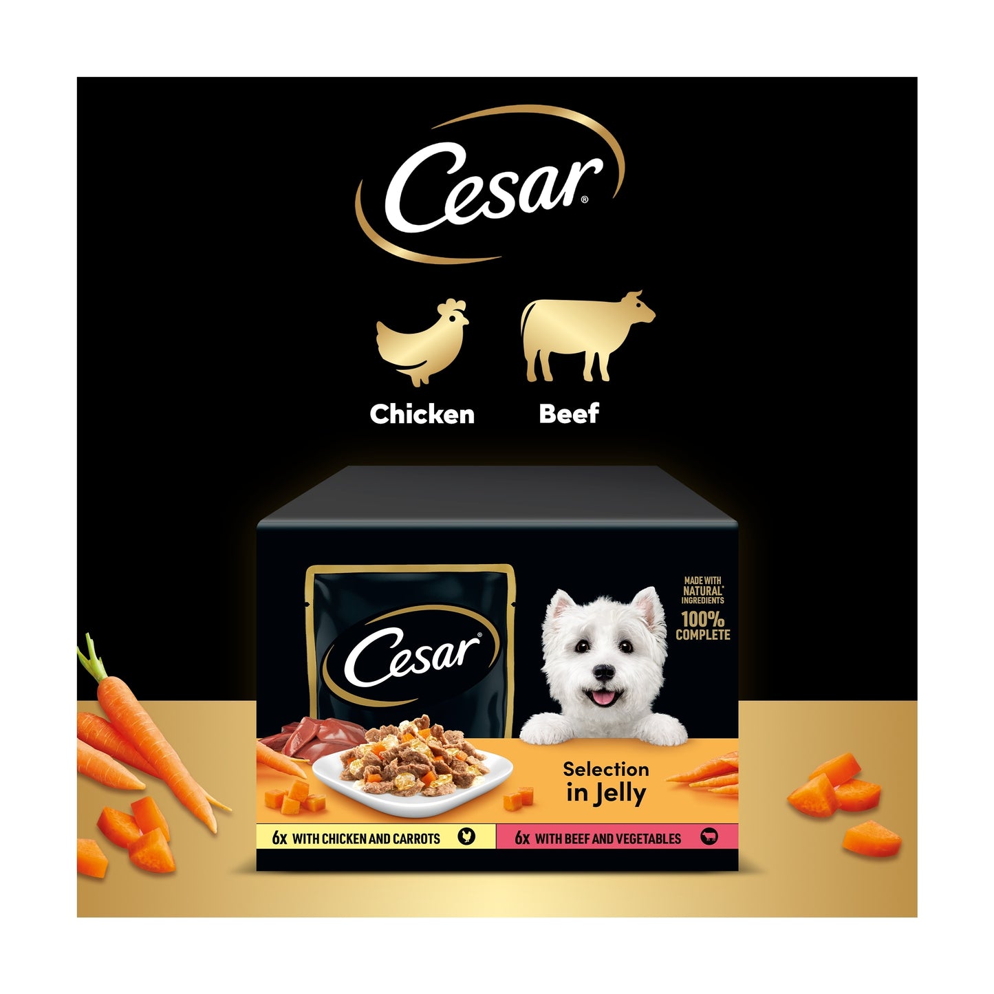 Cesar Deliciously Fresh Wet Dog Food Pouches in Jelly 12x100g — image 4