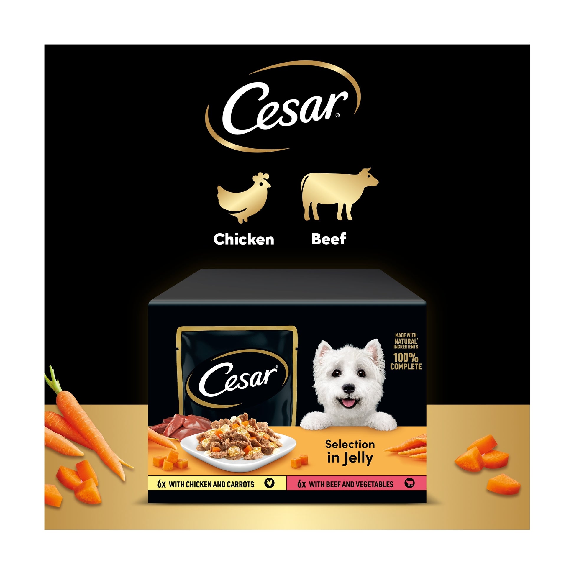 Cesar Deliciously Fresh Wet Dog Food Pouches in Jelly 12x100g — image 4