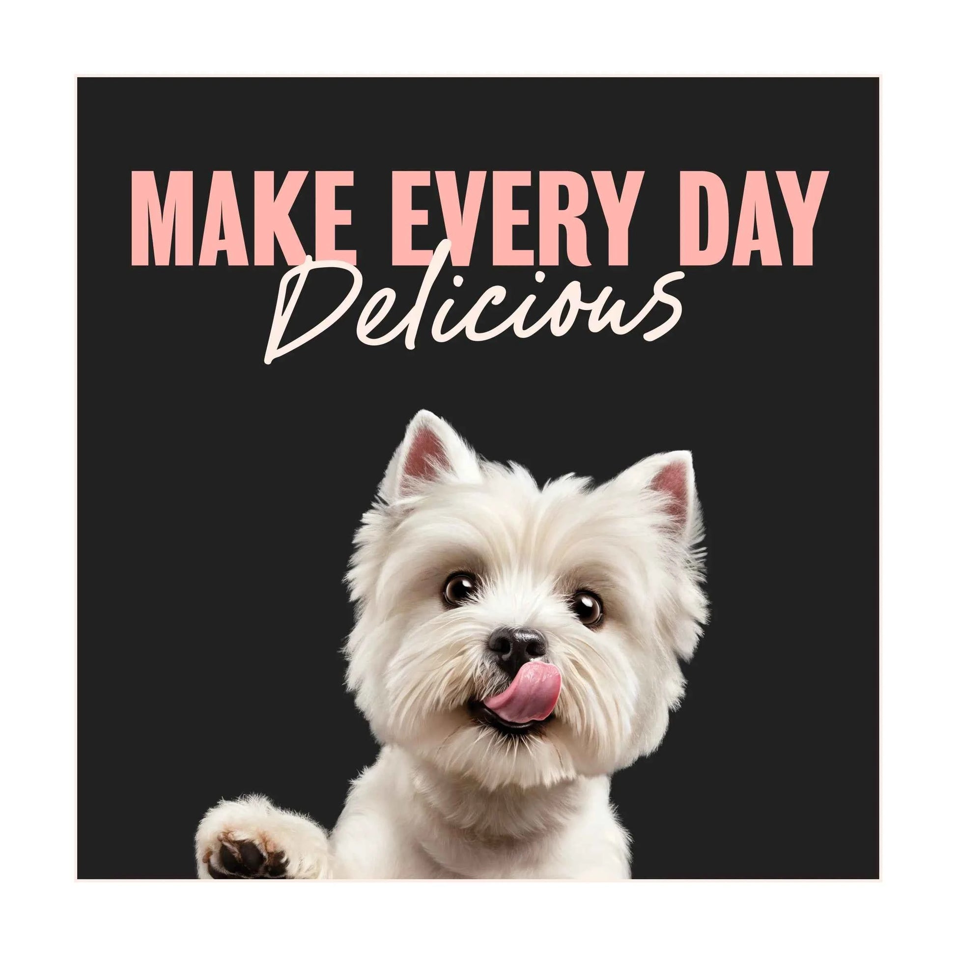 Cesar Dog Pouches Creations In Jelly 12x100g