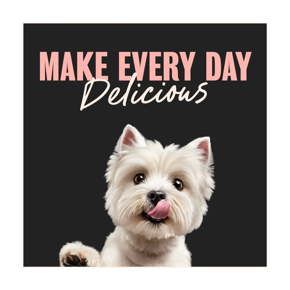 CESAR Dog Pouches Creations in Sauce 40x100g — image 3
