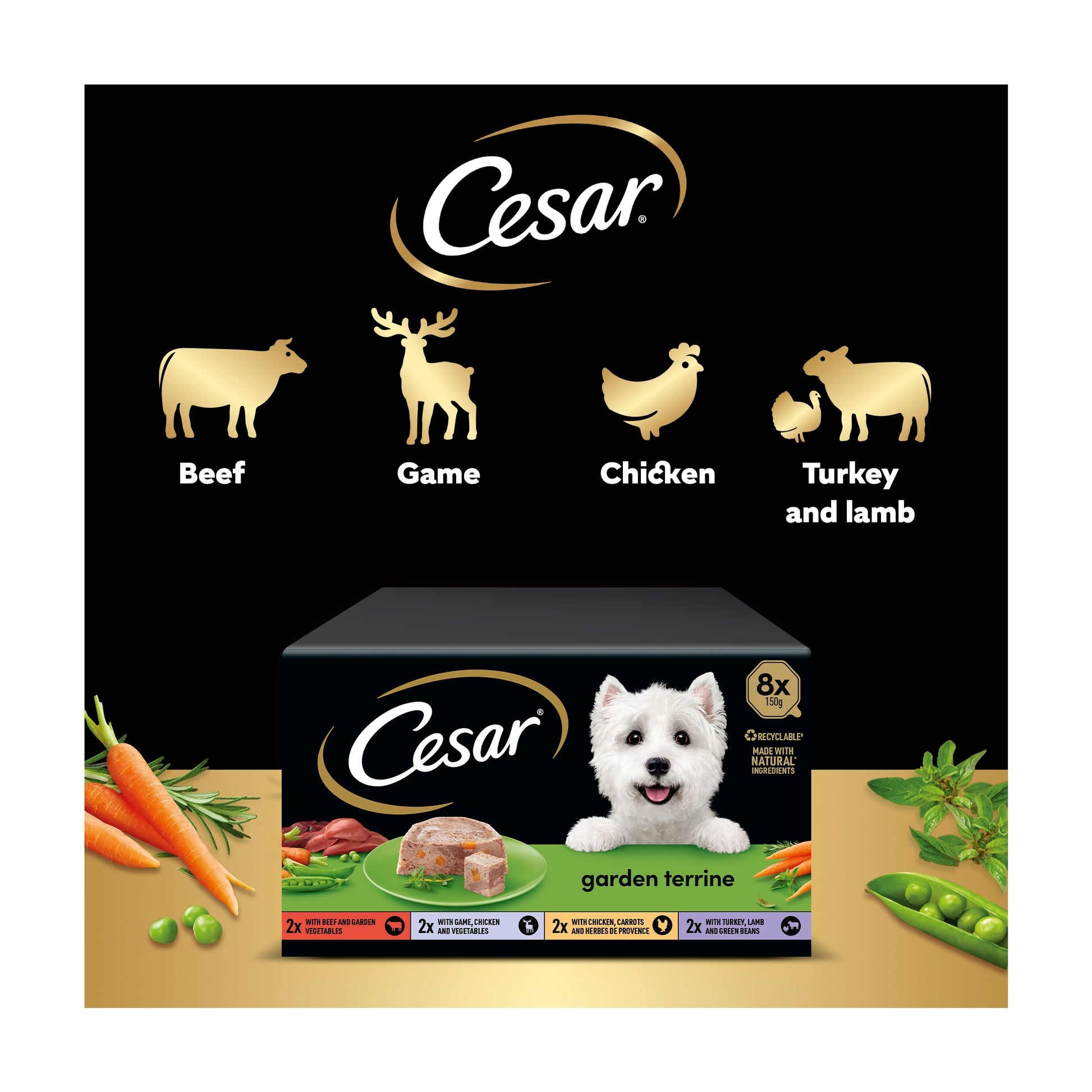 Cesar Garden Terrine Wet Dog Food Tray Mixed in Loaf 8x150g — image 3