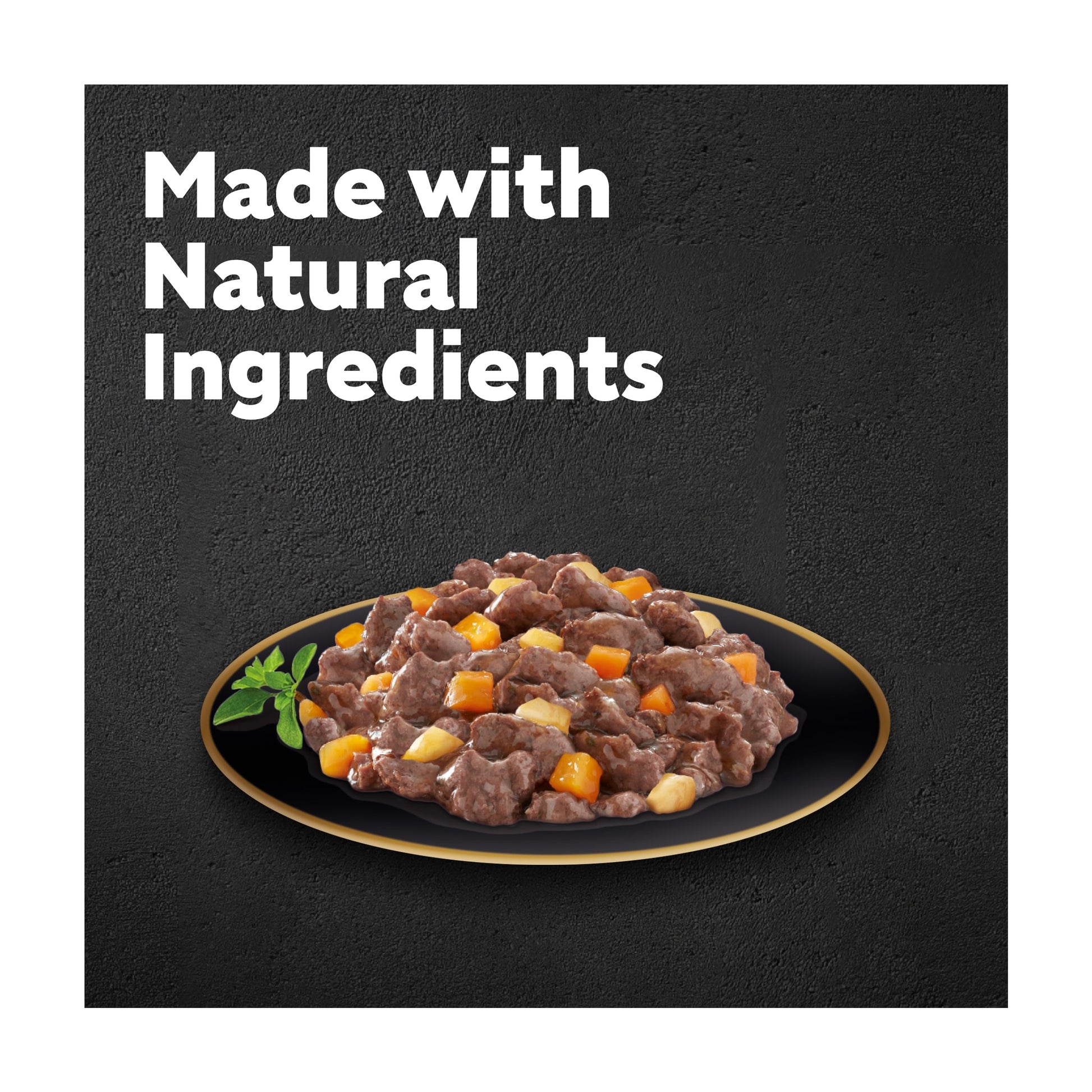 Cesar Juicy Hotpot Wet Dog Food Tray Mixed in Gravy 8x150g — image 3