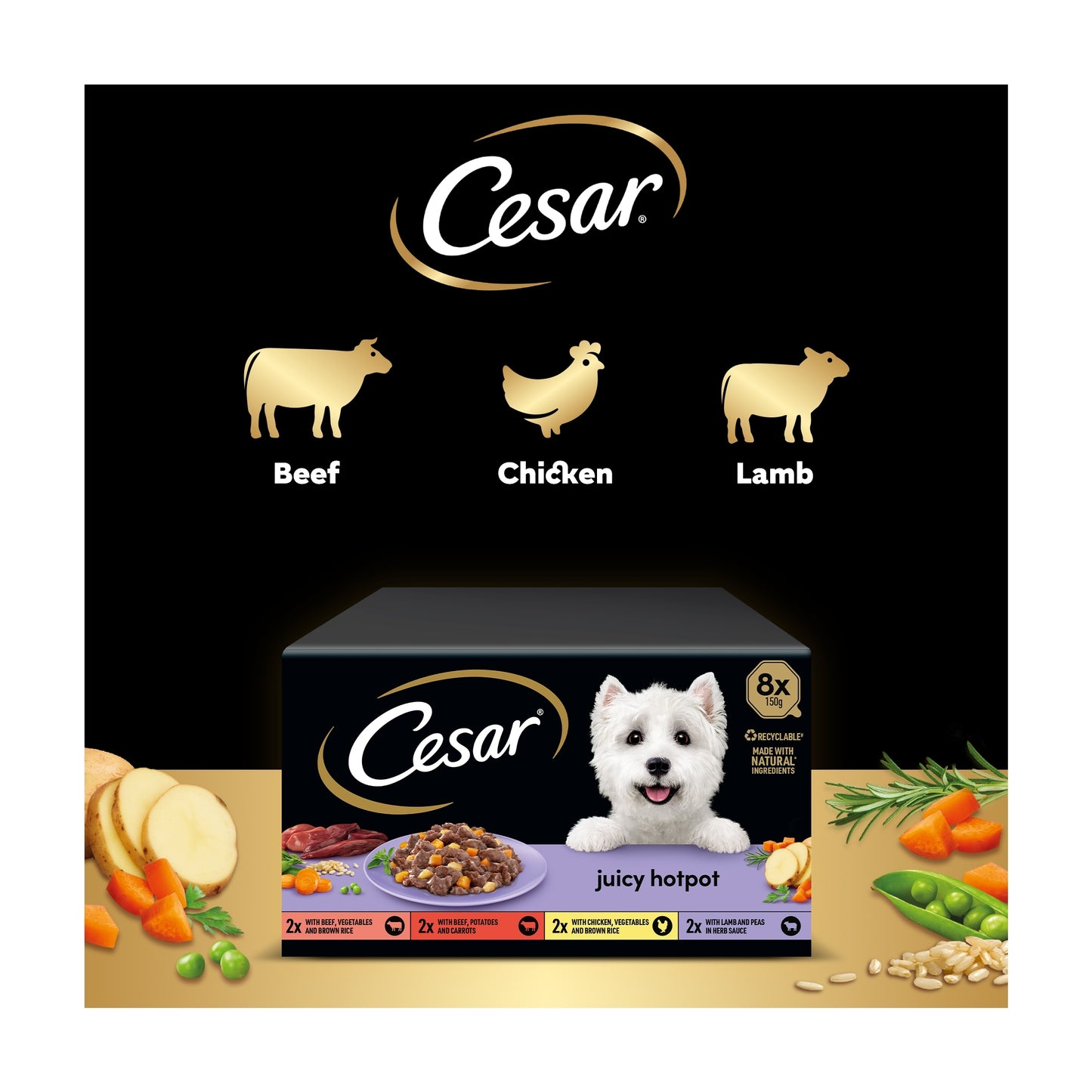 Cesar Juicy Hotpot Wet Dog Food Tray Mixed in Gravy 8x150g — image 4