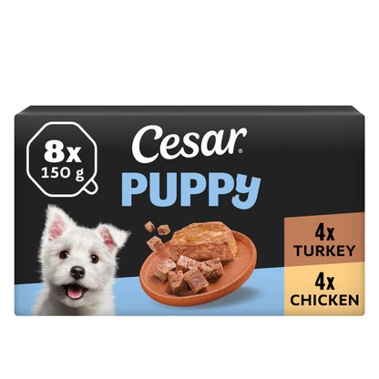 CESAR Puppy Wet Dog Food Trays 8 x 150g — image 1